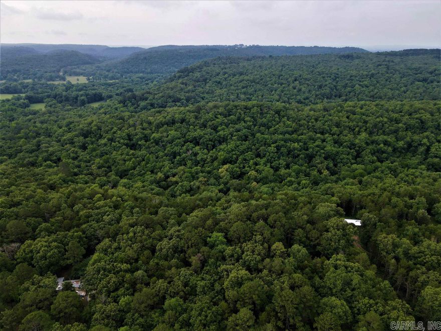 - 7.8 +/- acres of timber - Owner Financing Available - Numerous build sites - Access to Holiday Lake - Utilities near the property - Mature hardwood trees - Wet weather creek - County road frontage - Great topography - Healthy deer population - 13 miles to Morrilton - 30 miles to Conway