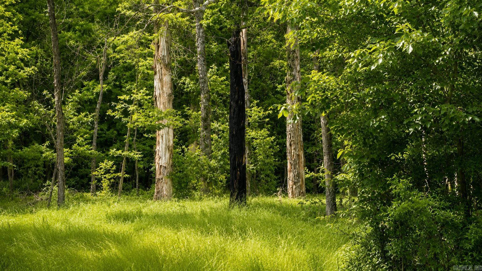 Faulkner Meadows - Land