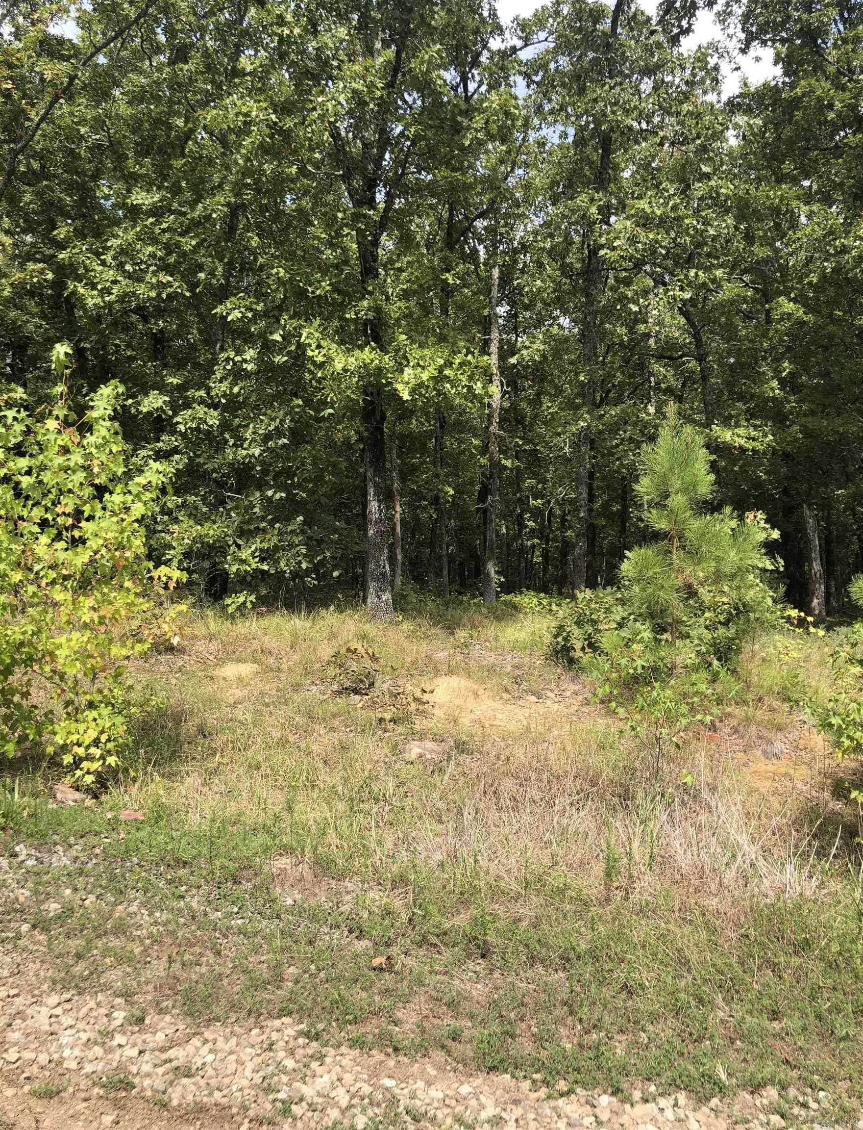 Golden Meadow - Land