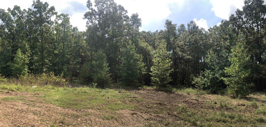 Looking to Build, these 4 acres will make a good home site. Minimum sqft to build is 1,400.  Save some of the trees for privacy. No cattle, mobile or modular homes allowed.