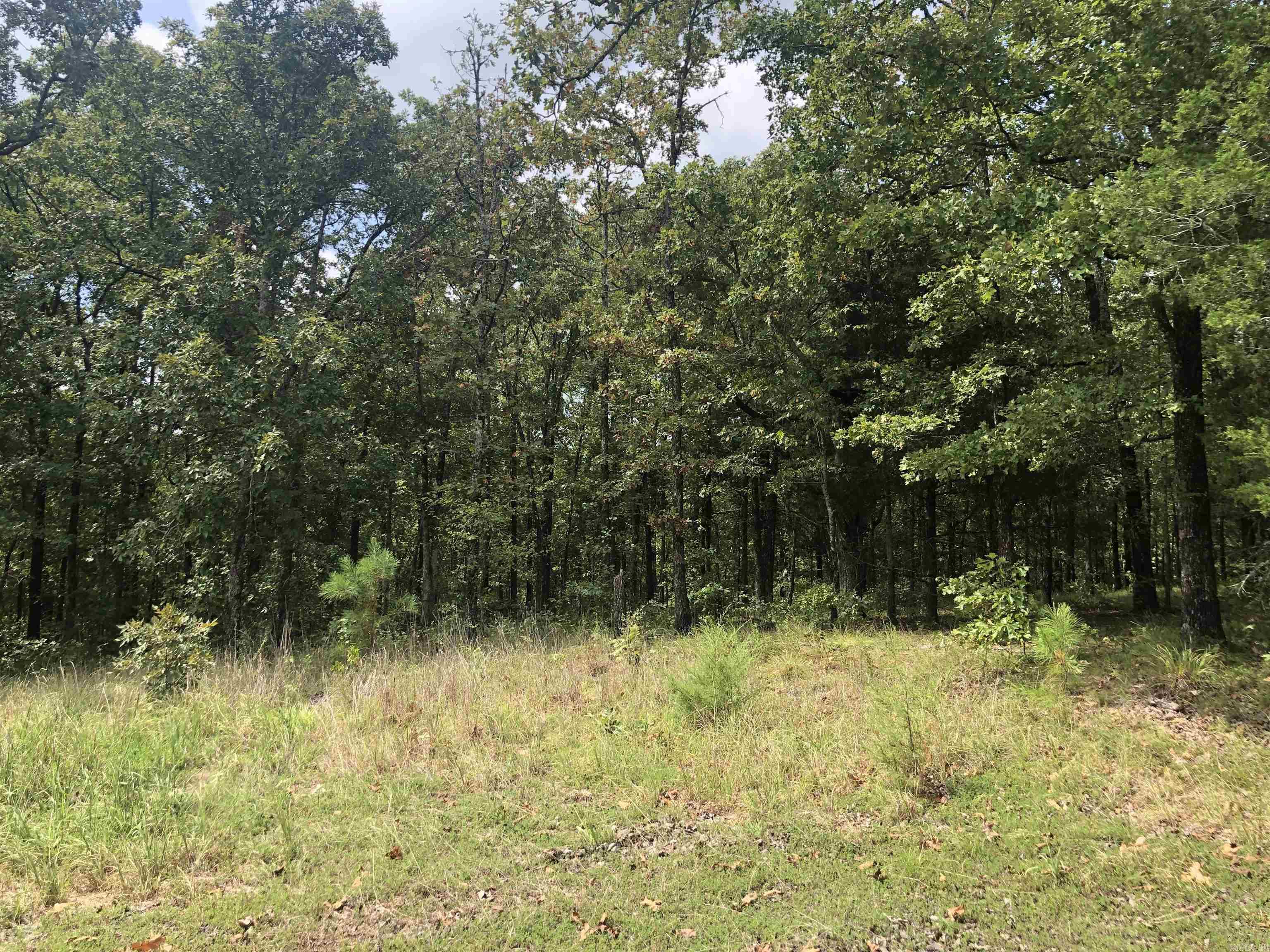 Golden Meadow - Land