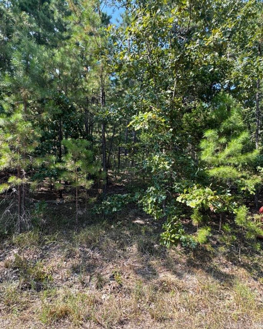 Buildable lot in cul de sac in Calahorra subdivision.