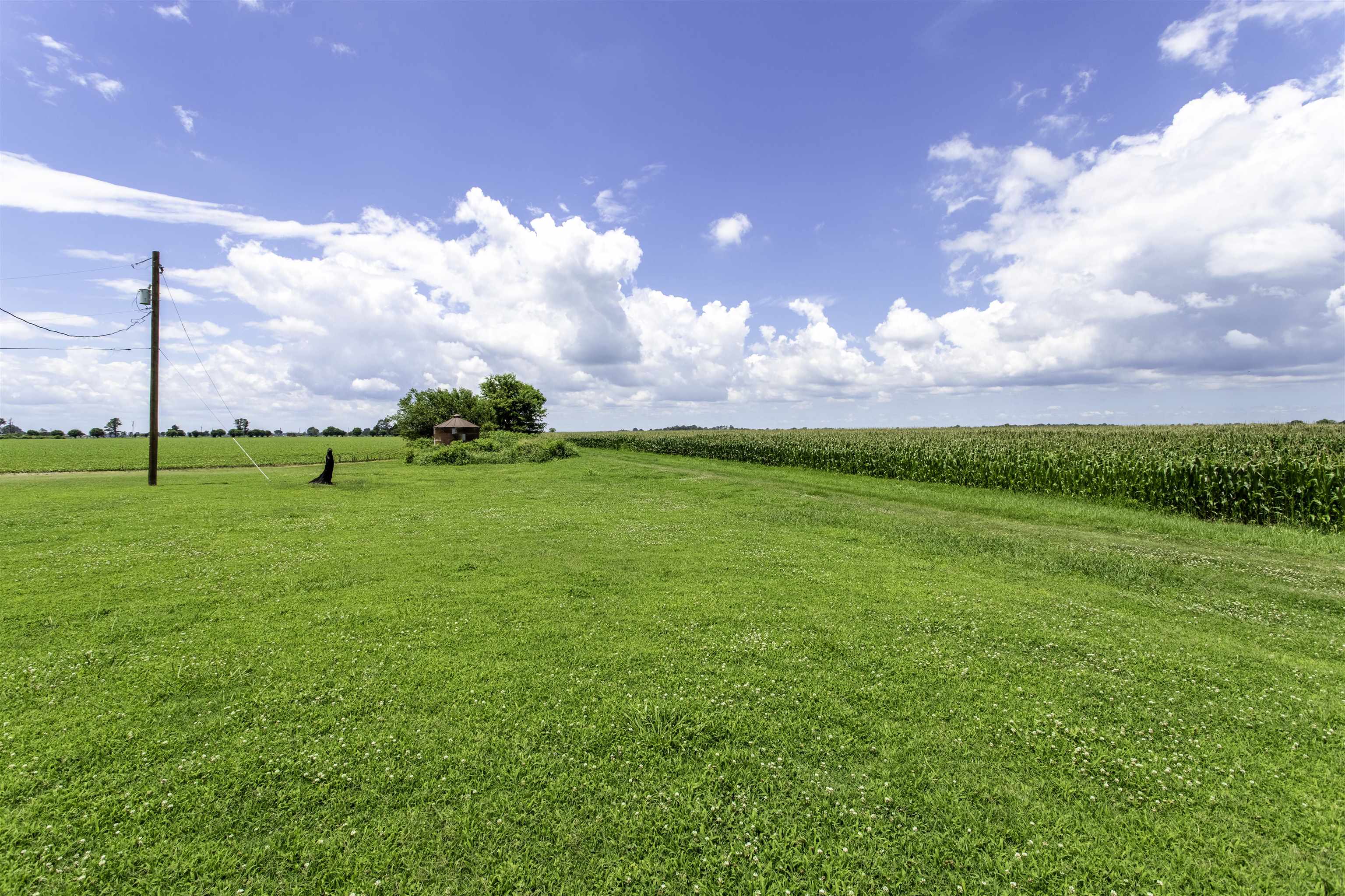 WALNUT RIDGE UNPLATTED - Residential