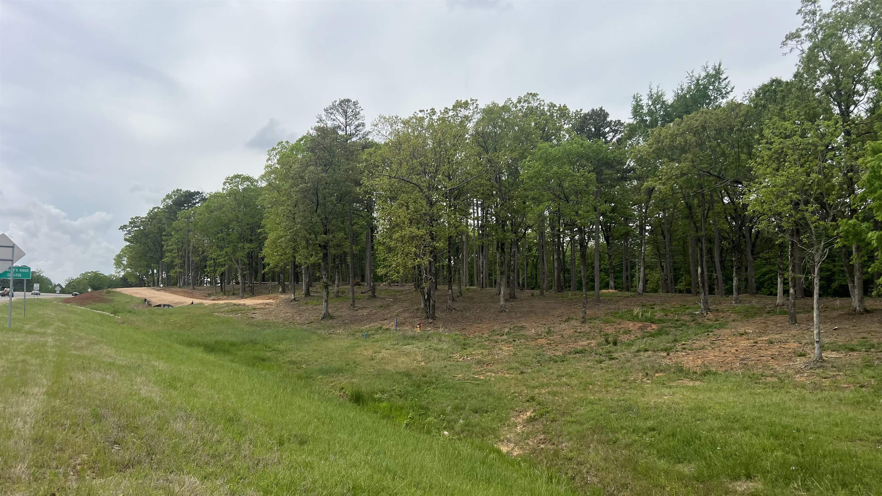 Build your dream home across from Crowley’s Ridge College on Hwy 412 in Paragould! This beautiful parcel offers the perfect blend of convenience and country charm, with quick access to the bypass for an easy commute. Western Greene County Water and Craighead Electric are available, making it even easier to bring your vision to life. Whether you envision a spacious estate or a peaceful retreat, this land provides the ideal canvas for your future plans. A Bill of Assurance will apply to protect the integrity and value of your investment. Don’t miss this opportunity to create the home you’ve always wanted in a growing, sought-after location!