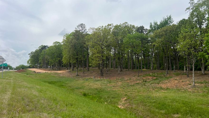 Build your dream home across from Crowley’s Ridge College on Hwy 412 in Paragould! This beautiful parcel offers the perfect blend of convenience and country charm, with quick access to the bypass for an easy commute. Western Greene County Water and Craighead Electric are available, making it even easier to bring your vision to life. Whether you envision a spacious estate or a peaceful retreat, this land provides the ideal canvas for your future plans. A Bill of Assurance will apply to protect the integrity and value of your investment. Don’t miss this opportunity to create the home you’ve always wanted in a growing, sought-after location!