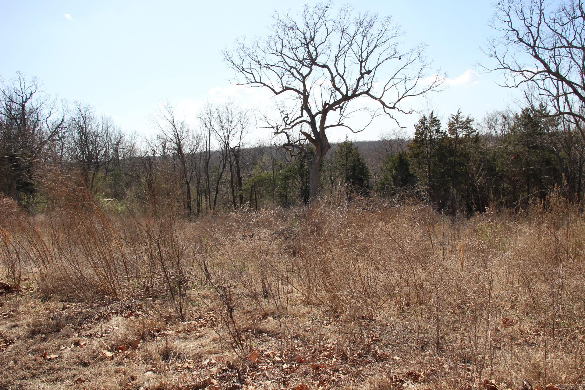 Large quiet lot near Wal-Mart, City Park, and Bypass. Front half has recently been cleared and is ready for your dream home! Would make a great walk out basement home with large wooded back yard. City water and Natural gas available.