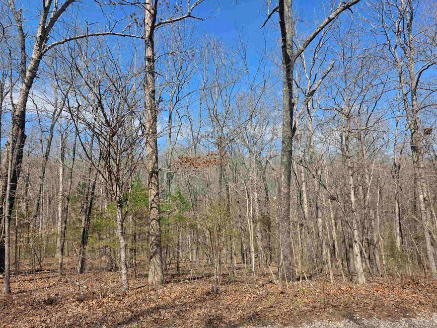 Nice very level lot with good road frontage.  Lots of trees and lots of nature and wildlife. Come check this lot out, check out the view and see where you want to put your vacation home or your forever home. Retire here and fish 7 different lakes and golf 2 different 18-hole golf courses. Don't forget about the beautiful South Fork River that flows right through the Village. Shop in Old Hardy town and trout fish the Spring River. That's living the Cherokee Village lifestyle.
