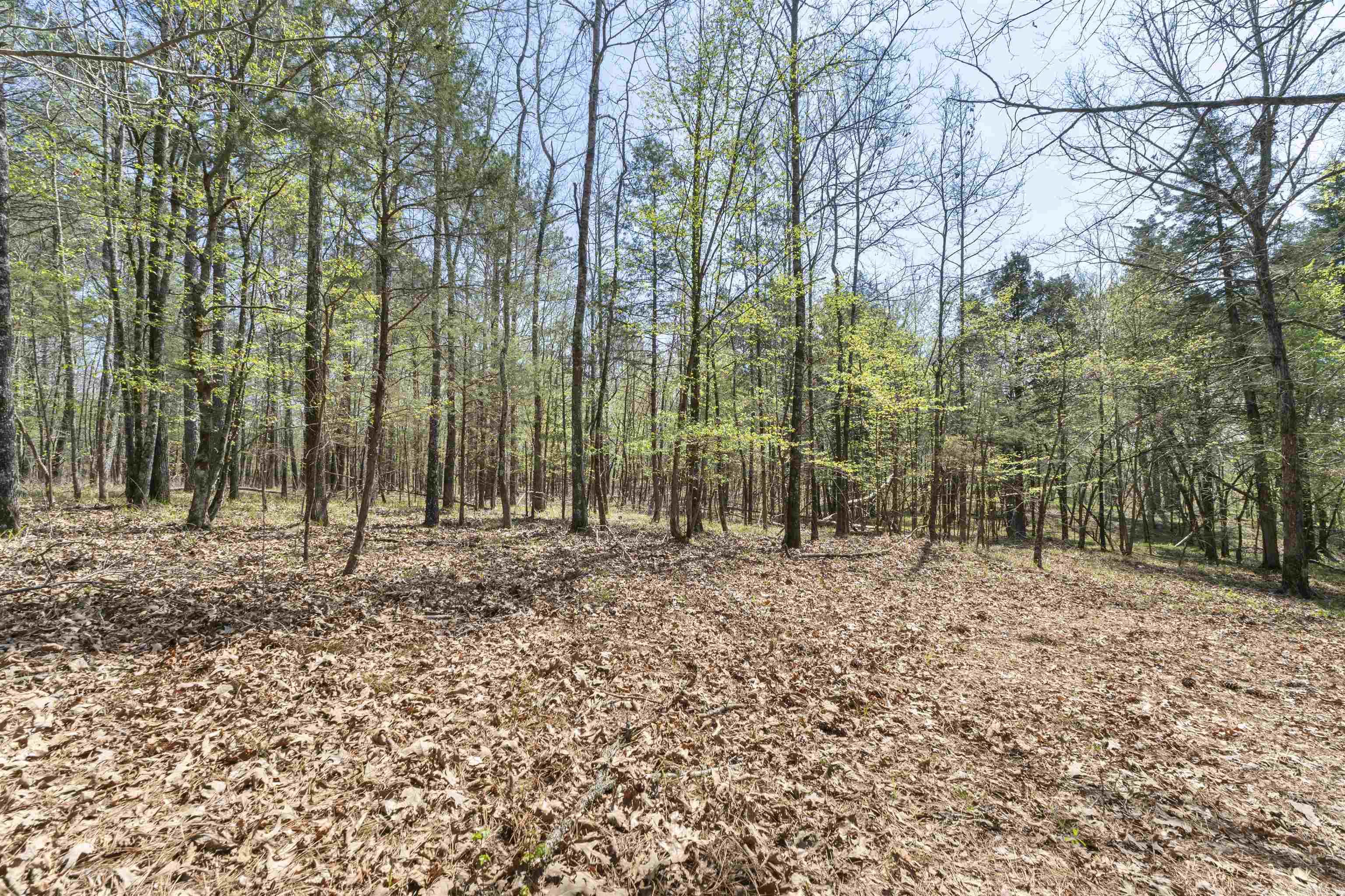 Not in Subdivision - Land