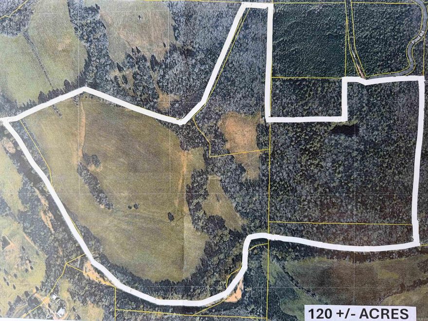 For development, recreation, or investment, call today to tour this one-of-a-kind property. Located in Saline County, the property is secluded, with gated access at the end of Pool Road. Hwy 70 provides easy access from Little Rock or Hot Springs. This property boasts approximately 1.0 mile of frontage along the South Fork of the Saline River, with gravel and sandy areas providing scenic views and great recreational opportunities. Featuring level, lush pastures with a permanent hunting stand and a mix of pine and hardwood timber. The entire 120 acres is contiguous, offering numerous home sites with a pond, river views, and access, providing excellent potential for development and enjoyment. Call today to discuss details and set a time to see this one-of-a-kind property.