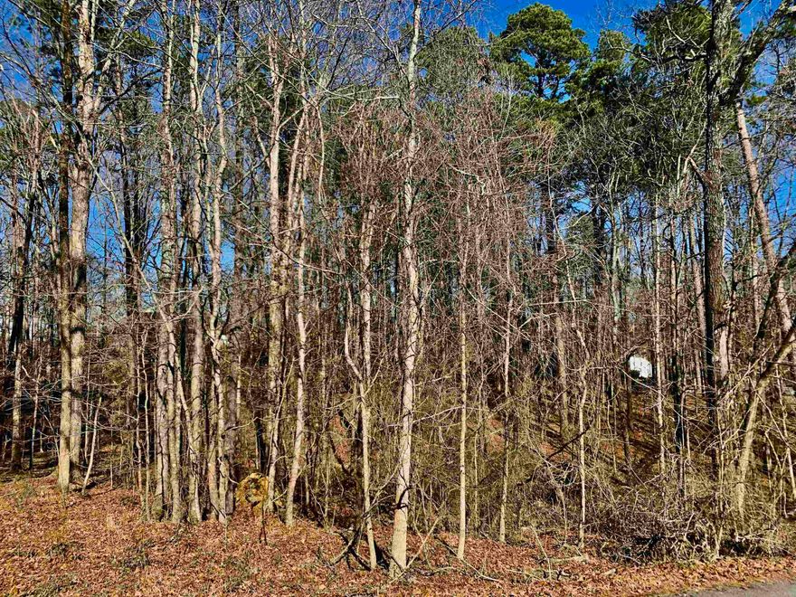 Looking for a beautiful lot to build your custom home? This is the one!! Located in the well-established Crystal Lake Estates Subdivision and located in the desirable Bryant School District, this lot is convenient to Bryant, Benton & Little Rock**all just minutes away! The lot is fully wooded with gorgeous hardwoods**Give us a call**Mobile Homes NOT allowed