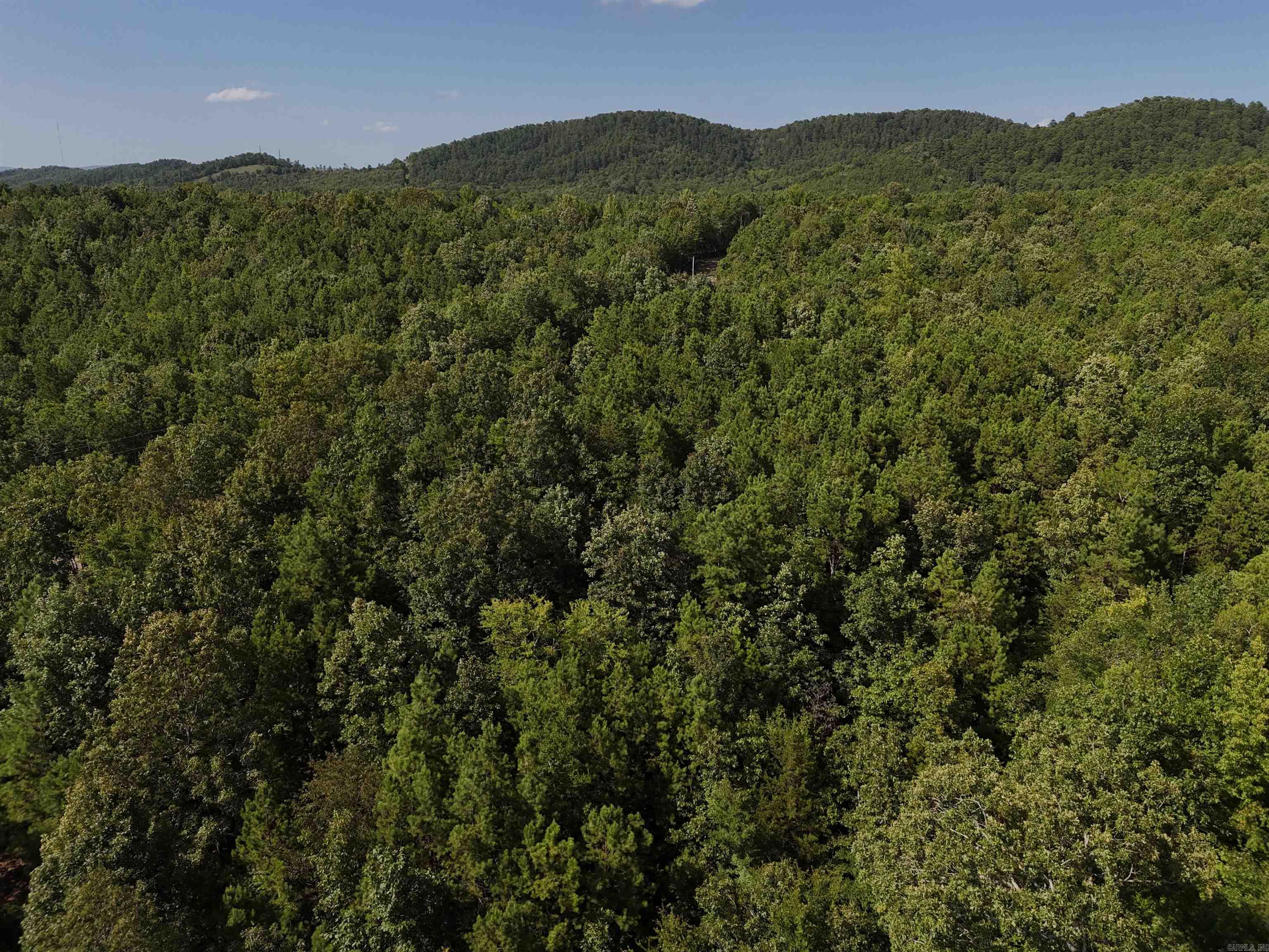 Build on this 3.357 acre tract located in the Rustic Ridge Subdivision, ready for your new home! Fronts Polk Road 78 as well. Enjoy mountain views, peaceful surroundings, wildlife, and a great location just minutes to downtown Mena. Ride straight to the Wolf Pen Gap west trailhead which is just 12 miles away. Electric is available, and a survey is completed. This lot is a beautiful place to build, relax and explore - come take a look today!