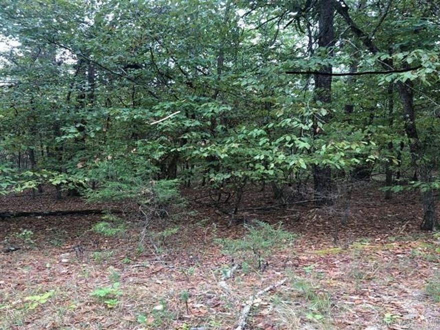 Level wooded lot.  Clost to Lake Balboa, Balboa Gate and Balboa Golf Court.  One neighbor close but unseen from this lot. Lots of privacy yet minutes to the gate, beach, golf and so much more. Perfect if you are looking for privacy but want to be close to amenities he Village is a 26,000-acre gated community with 11 lakes, 9 golf courses, pickle ball, tennis, 40 miles of hikingtrails, indoor and outdoor pools, fitness center, two marinas and white sand beach with covered picnic tables, fishing pier, volleyball and playground.Pictures are of house previously built and similar to home. Also pictures of Hot Springs Village amenities.  One time buy in to POA is $2000 due at closing.