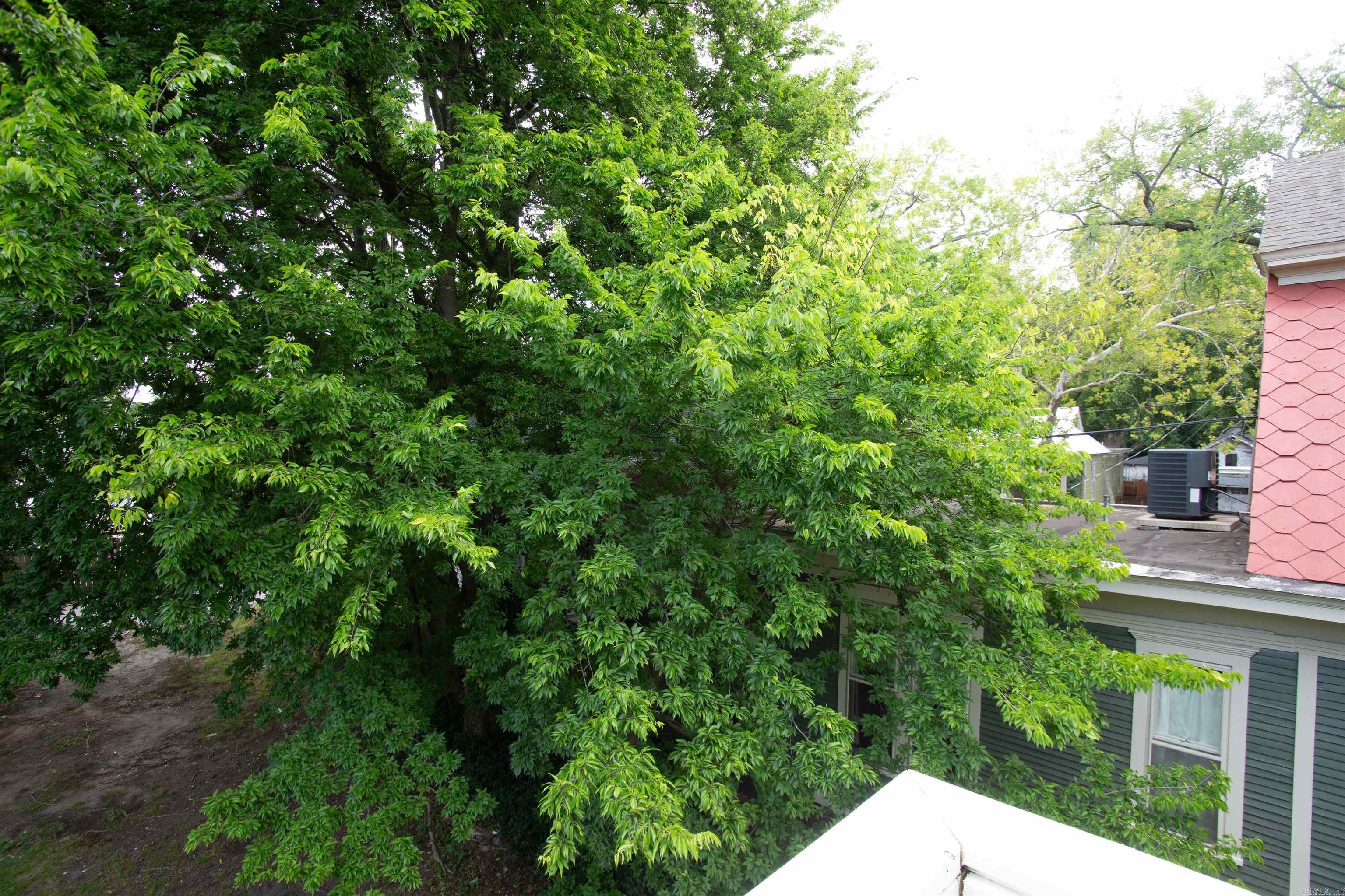 Park - Residential Lease