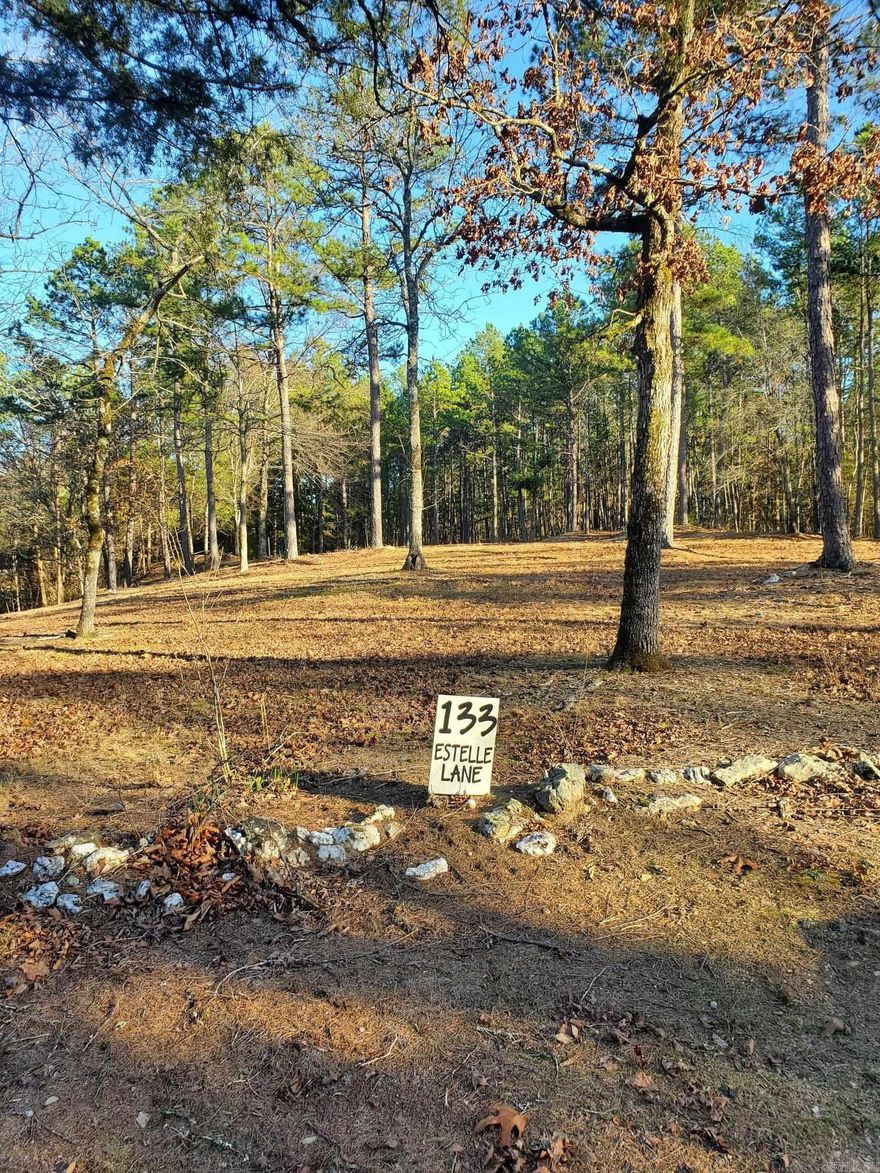 Beautiful 1.32-acre property located just east of Mena, perfect for building your dream home, cabin, or setting up a weekend getaway. Water, septic, and electricity already in place.  Ready to build on or camp immediately.  Easy access with a peaceful, private setting. Outdoor lovers will appreciate the close proximity to 4-wheeling trails, swimming spots, hunting areas, hiking, and endless recreational opportunities. Whether you’re looking for a full-time homesite or a recreational escape, this property offers convenience and adventure in one spot
