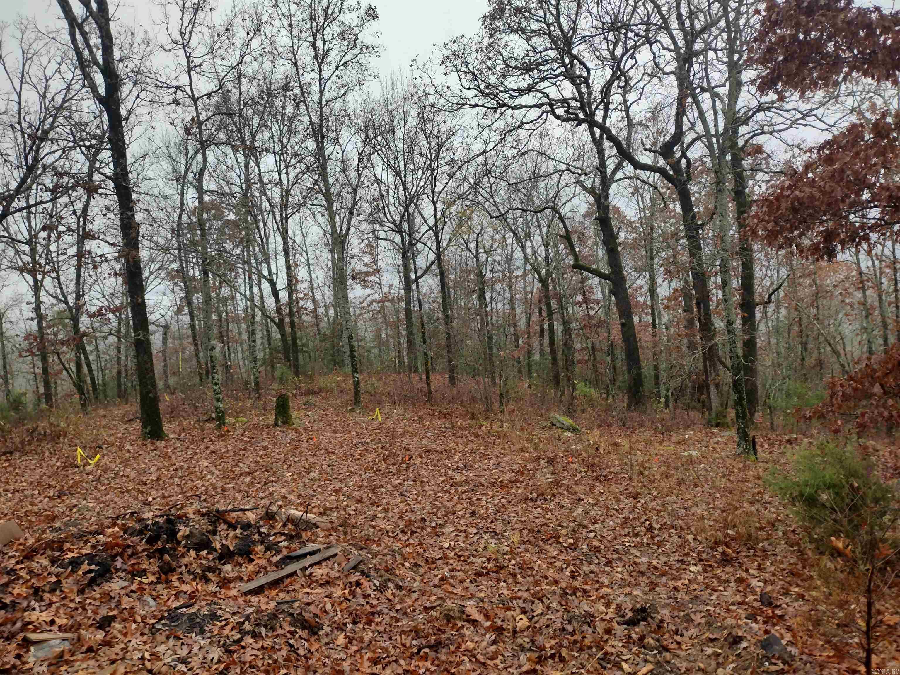 Ripplin Shoals Ridgetop - Residential