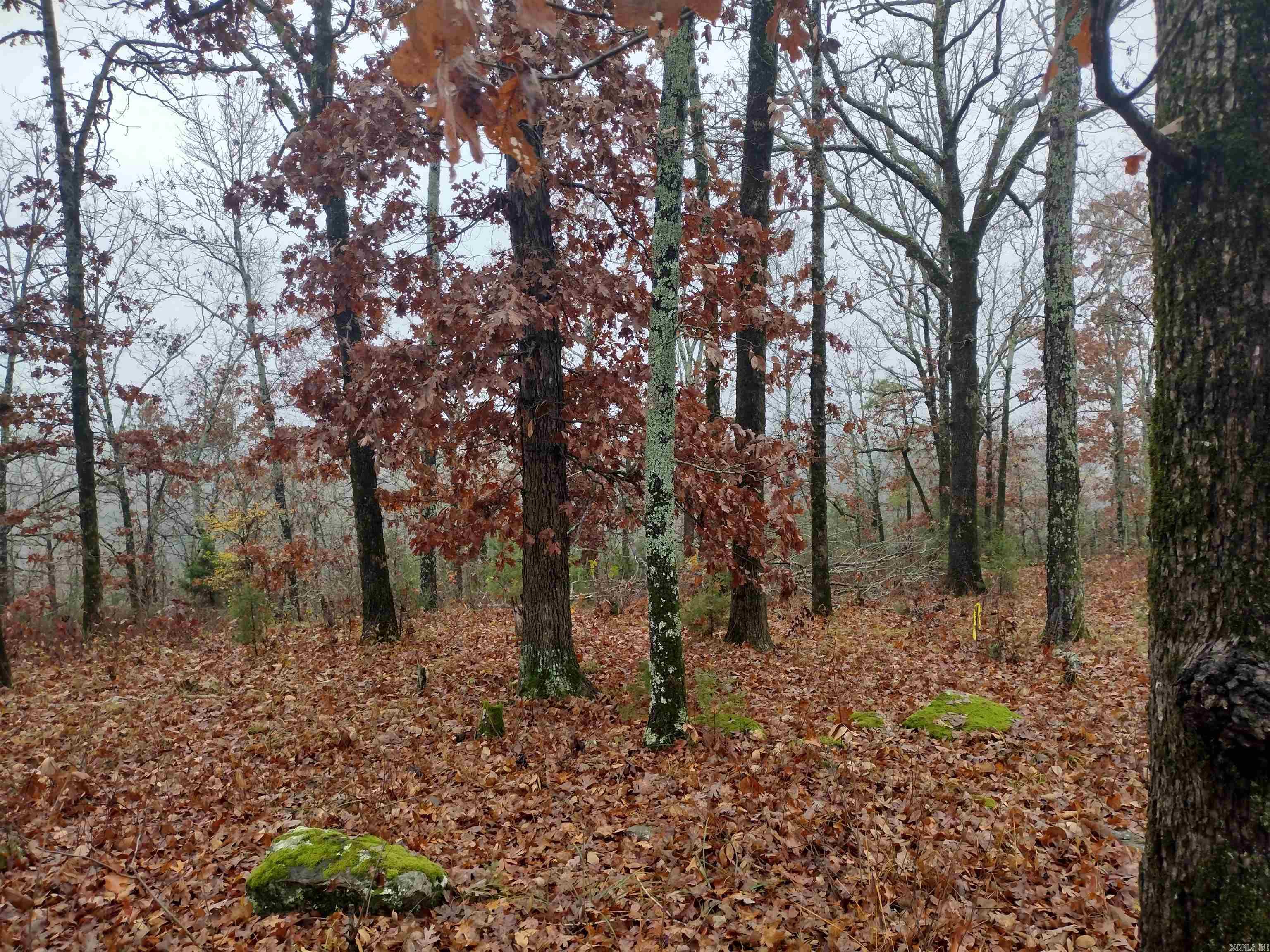 Ripplin Shoals Ridgetop - Residential