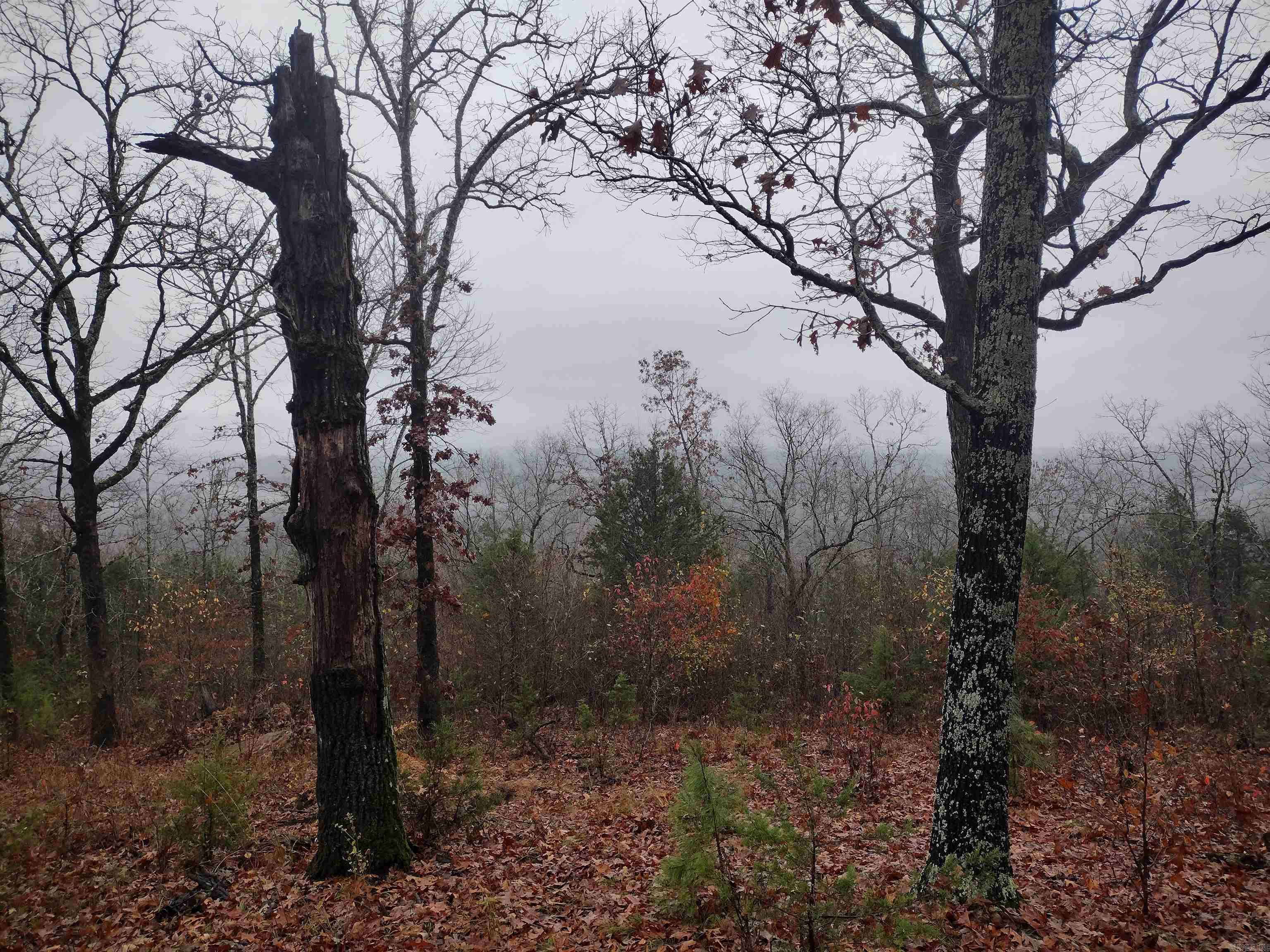 Ripplin Shoals Ridgetop - Residential