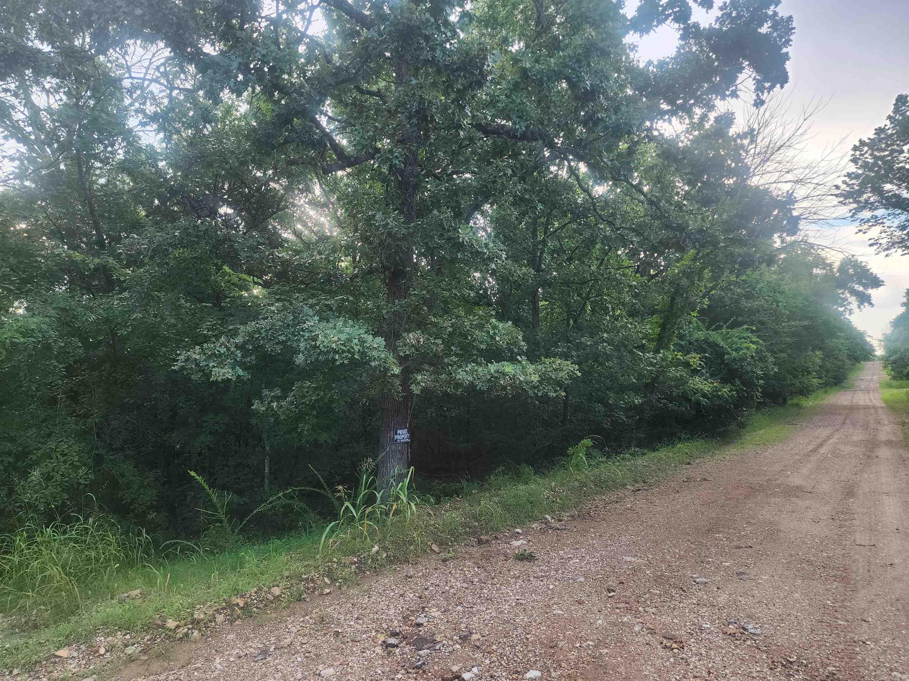 11.76 AC M/L bordering the corp around Bull Shoals Lake. Multiple building sites or subdivide. Access off Sunset or Japonica. Back access road to back corner and corp is slightly grown up. May have views with the right clearing. City water available along with Electric and Fiber. Septic will be needed $99,000