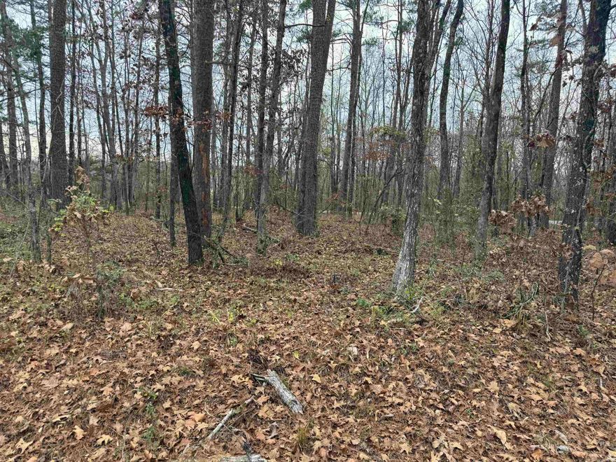 Great flat building lot.