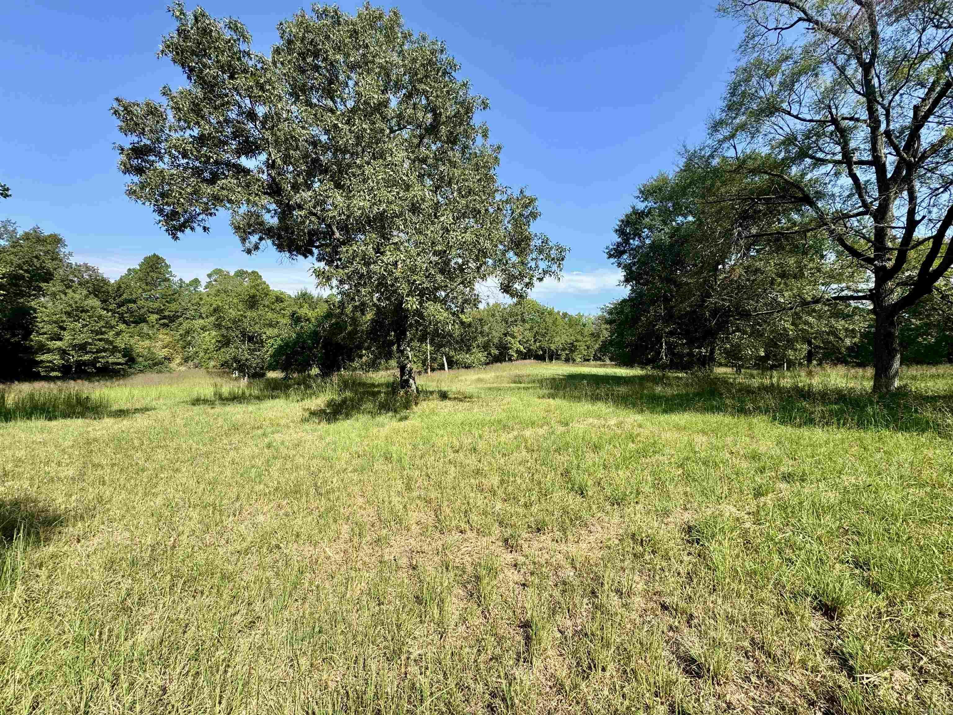 Metes & Bounds - Farm