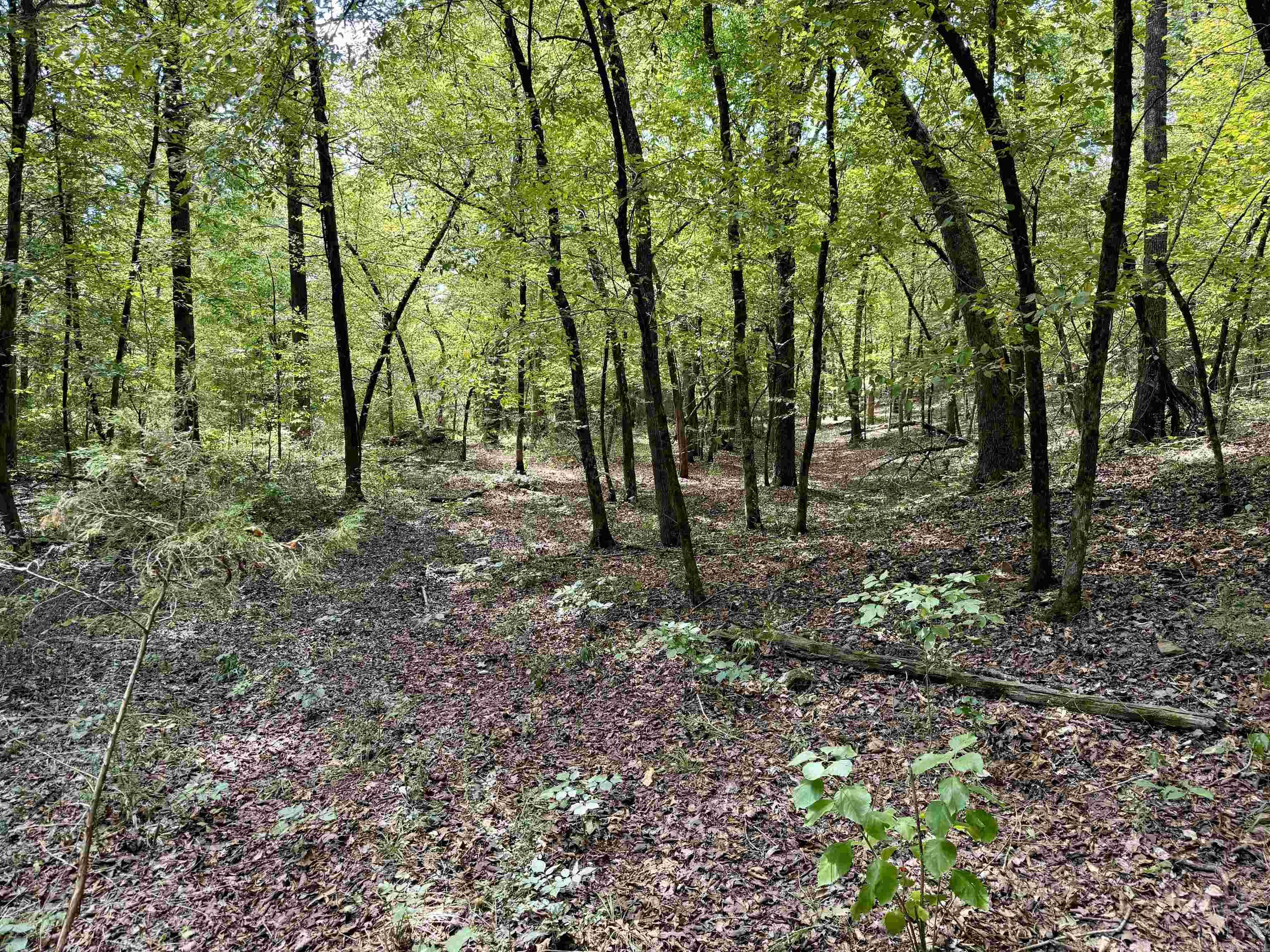 Metes & Bounds - Farm