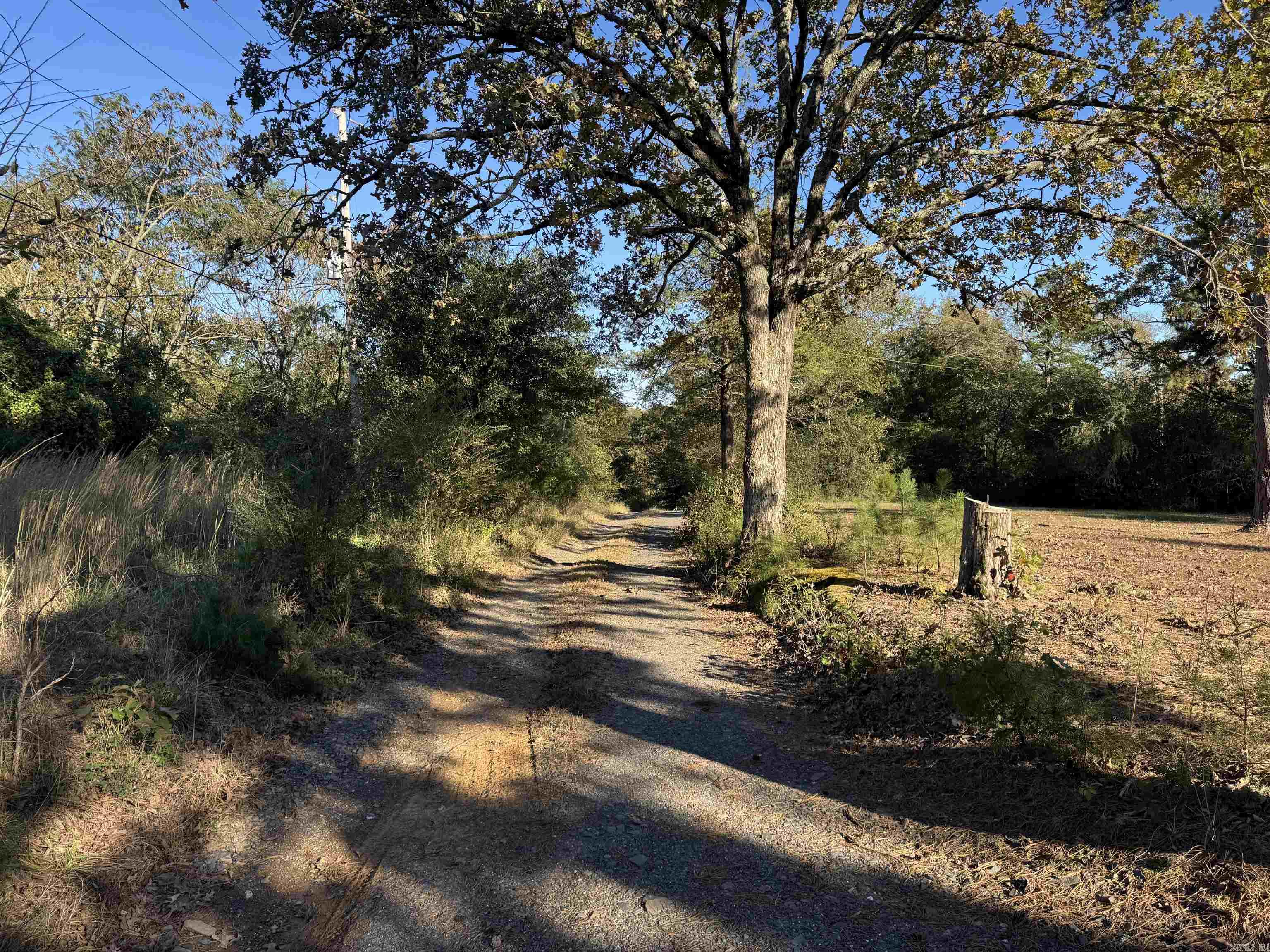 Hatfield - Residential Income