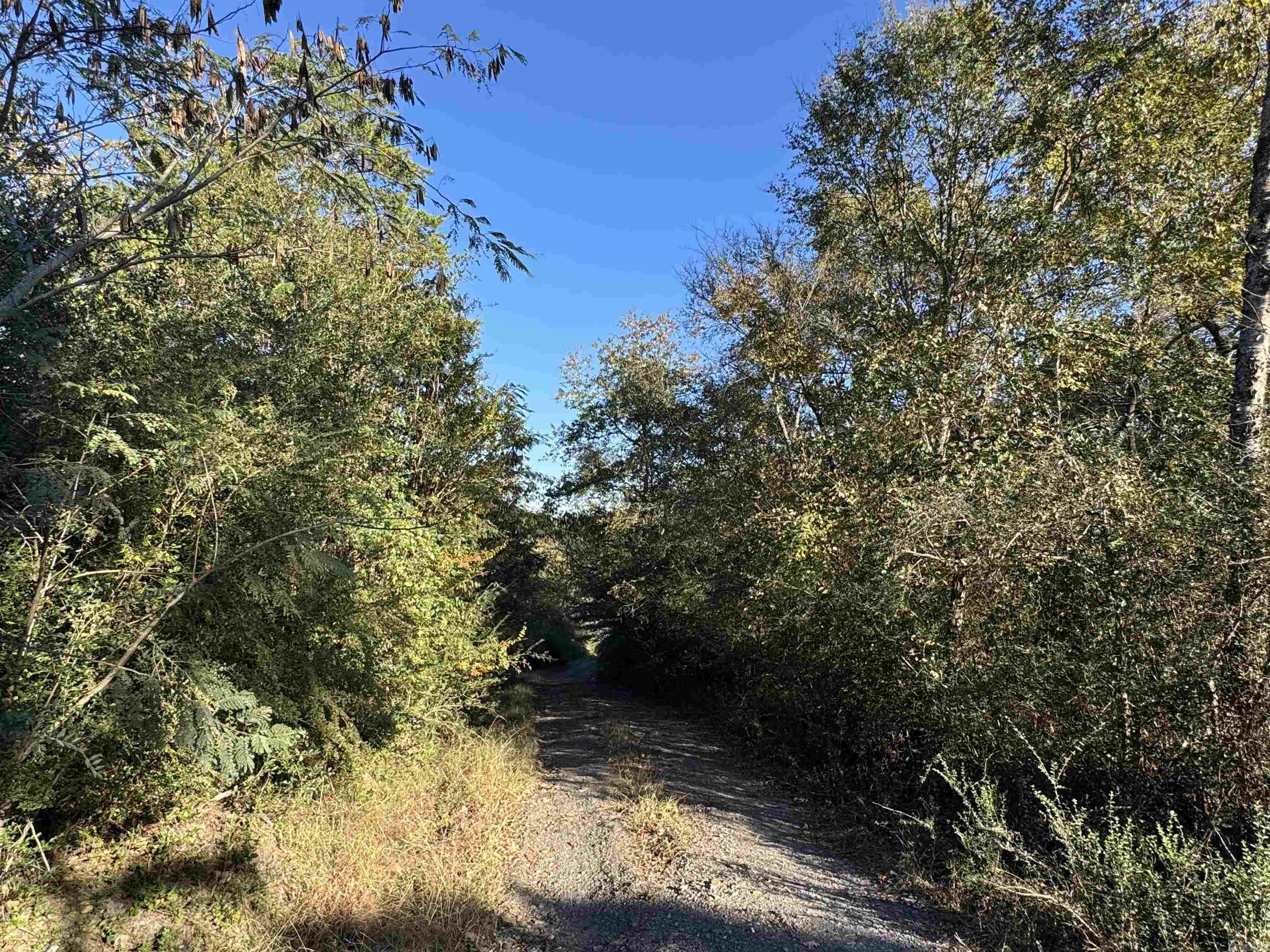 Hatfield - Residential Income