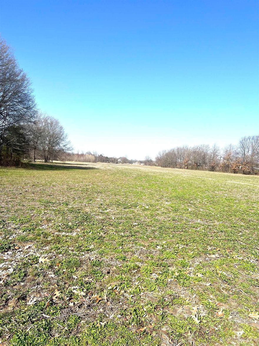 11.46 Acres of Opportunity in a Booming Location!  Escape to over 11 acres of breathtaking land, perfectly positioned in a high-growth area yet offering the peace and privacy to create your dream retreat. Whether you envision a private estate surrounded by nature or are searching for the perfect investment, this property is full of possibilities. For developers and investors, this expansive acreage presents an incredible opportunity for future residential projects. With the area's rapid growth, now is the time to secure this prime piece of land and bring your vision to life with around 290 ft of Hwy frontage. Don't miss out on this rare find! Whether you're dreaming, developing, or investing, this property is ready for you. Contact me today to learn more!  (property is attached to additional 20.12 acres (#25010082) that may be purchased together)