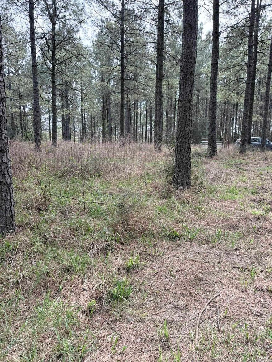 Situated on the Little Missouri River, this 5 acre lot is a blank canvas ready to be developed.  Weekend end retreat, dream home or quite cabin on the Little Missouri River.  This property is a hidden gem, minutes from downtown Murfreesboro, beautiful Lake Greeson and the Crater of Diamond State Park.