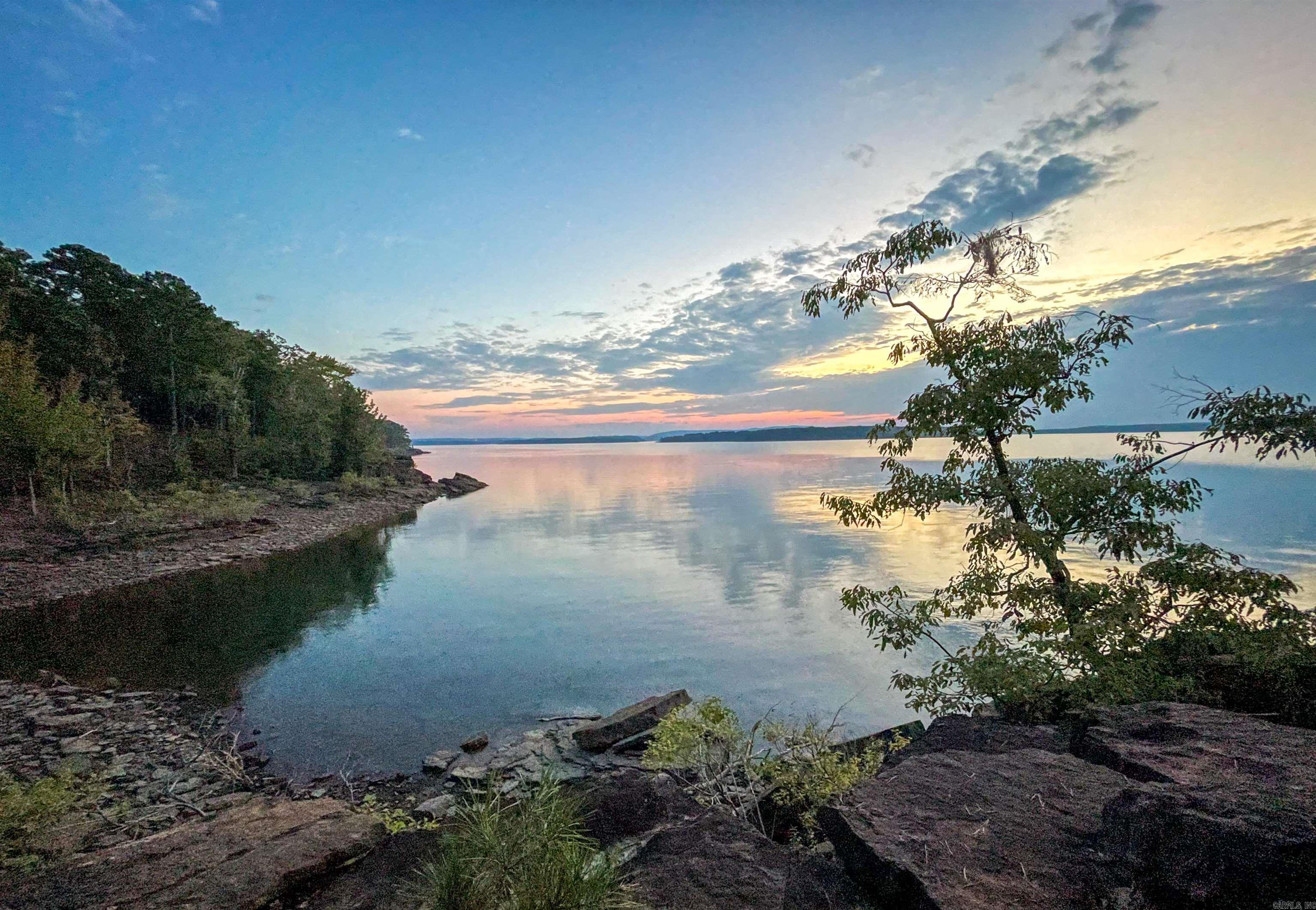 TANNENBAUM - Residential