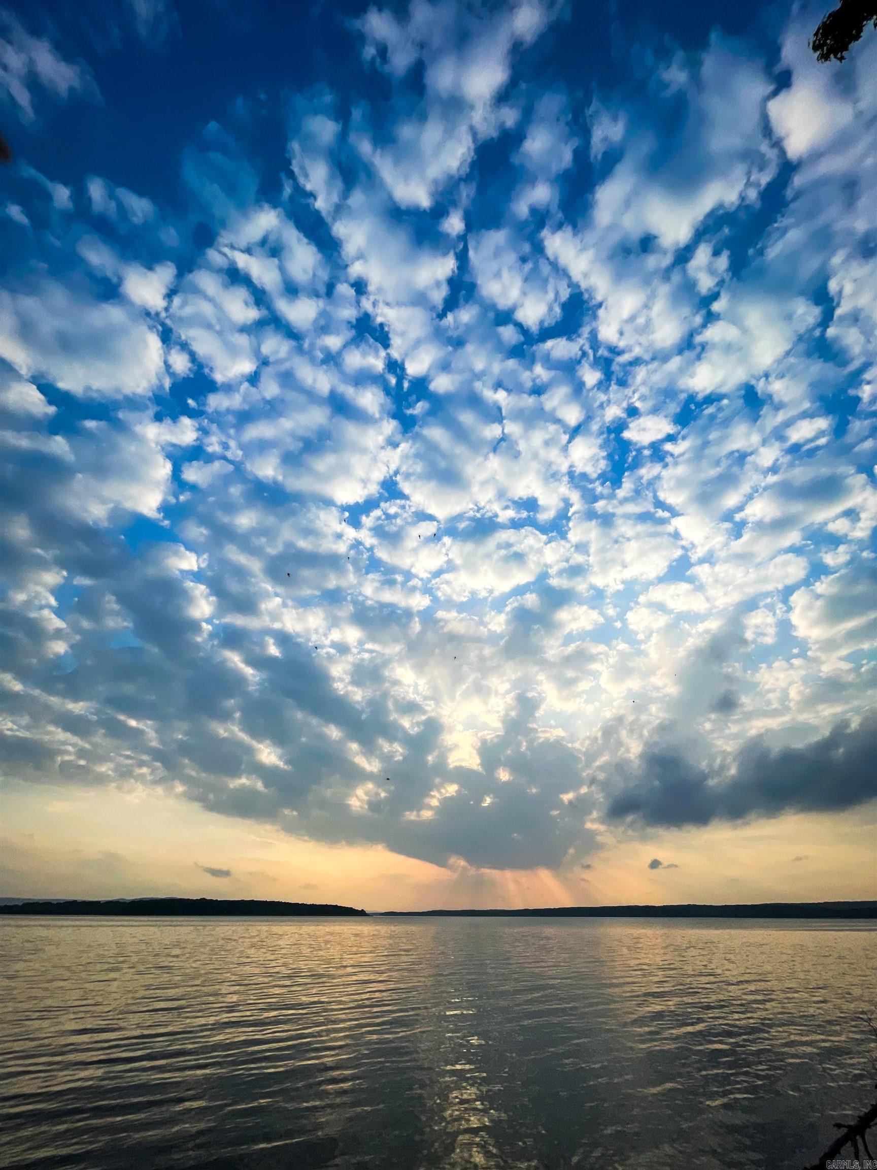 TANNENBAUM - Residential