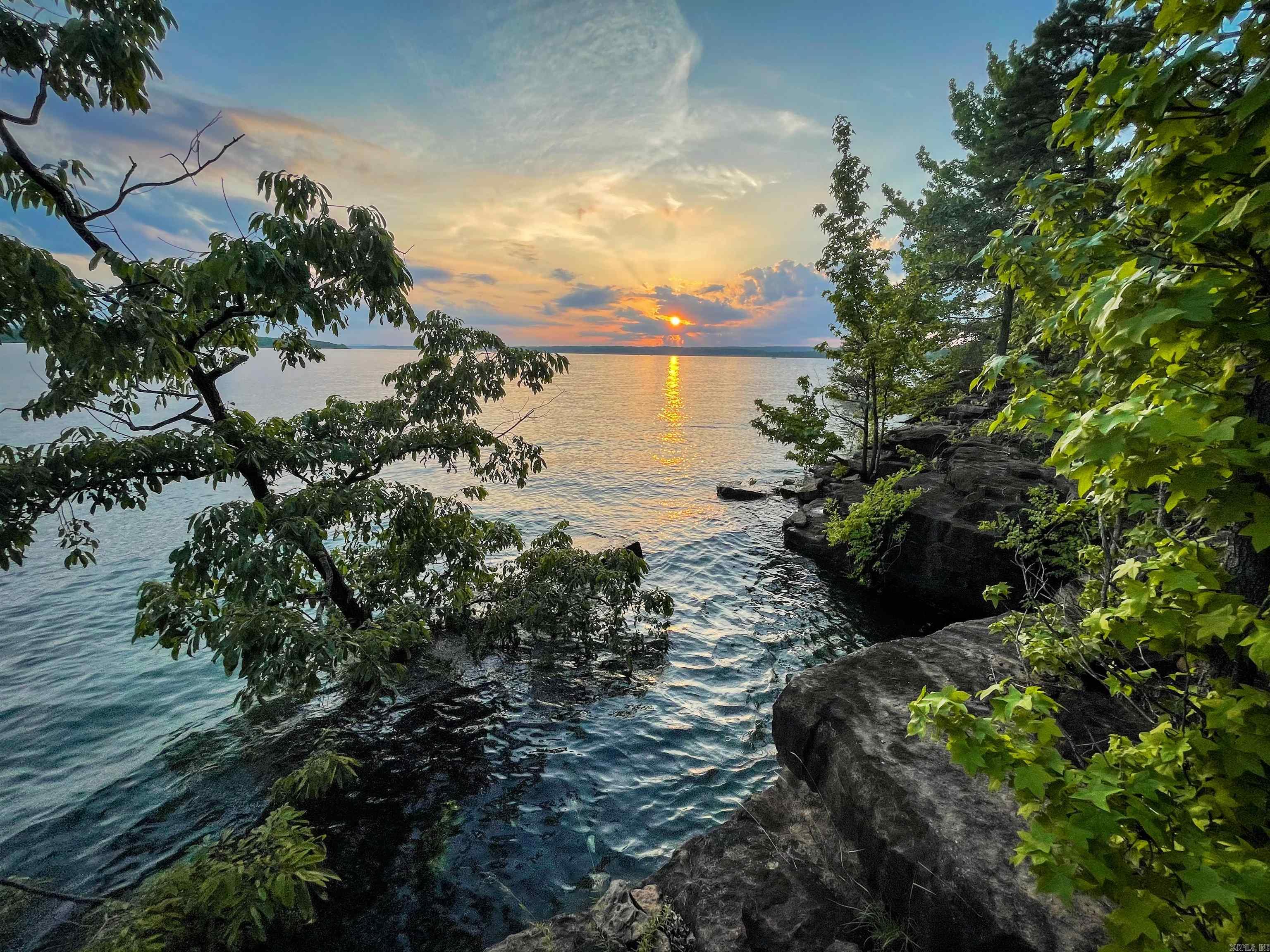 TANNENBAUM - Residential