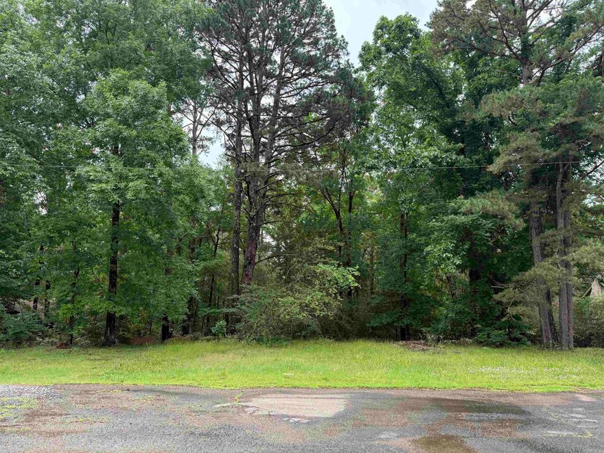 Two beautiful wooded lots located in the heart of Heber Springs! This private and peaceful property offers a rare opportunity to build your dream home in a quiet, established area. Surrounded by mature trees, the lot provides a natural, secluded setting while still being conveniently close to shopping, dining, schools, and Greers Ferry Lake.  Sewer is already available on-site, saving time and expense during the building process.