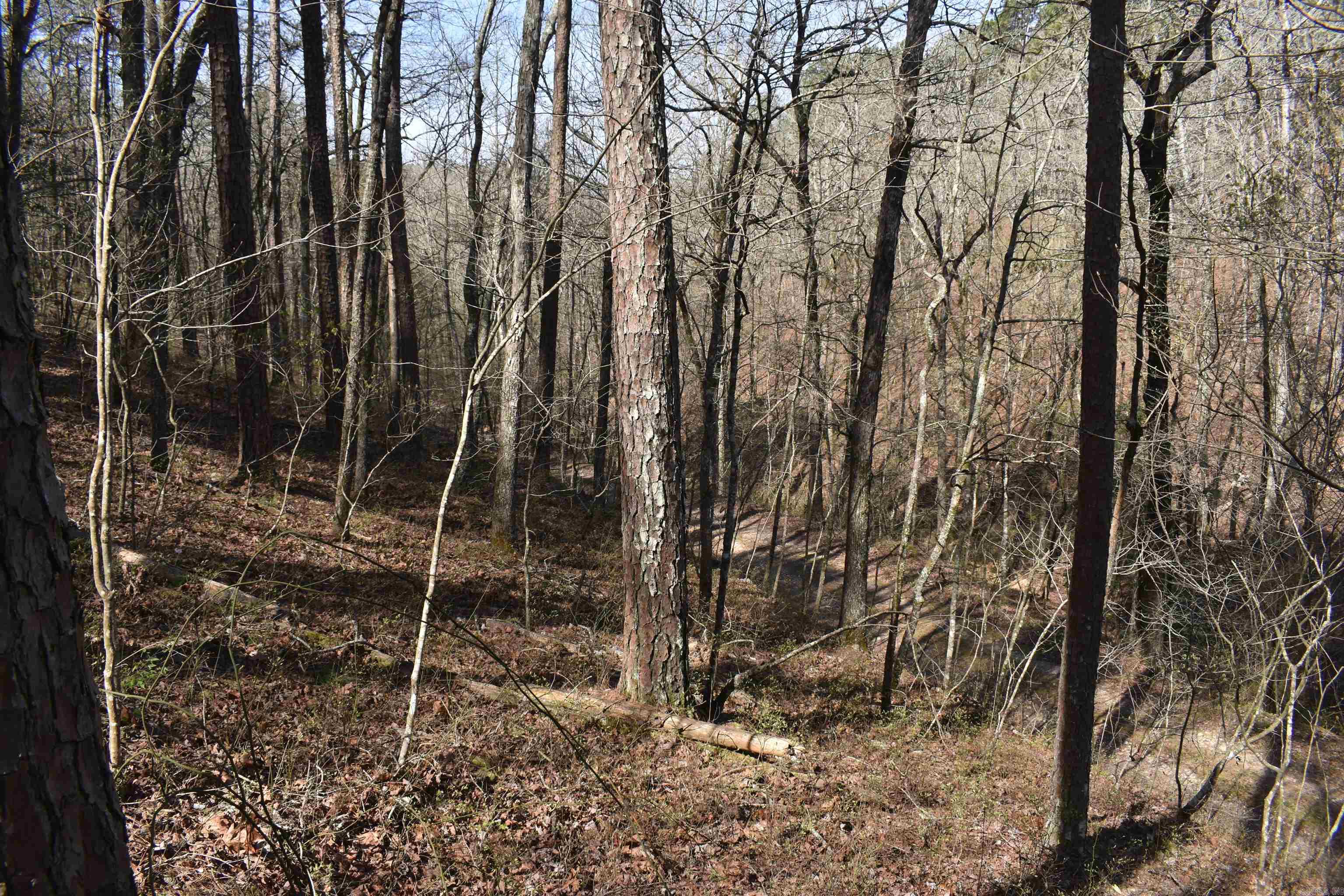 Metes & Bounds - Land