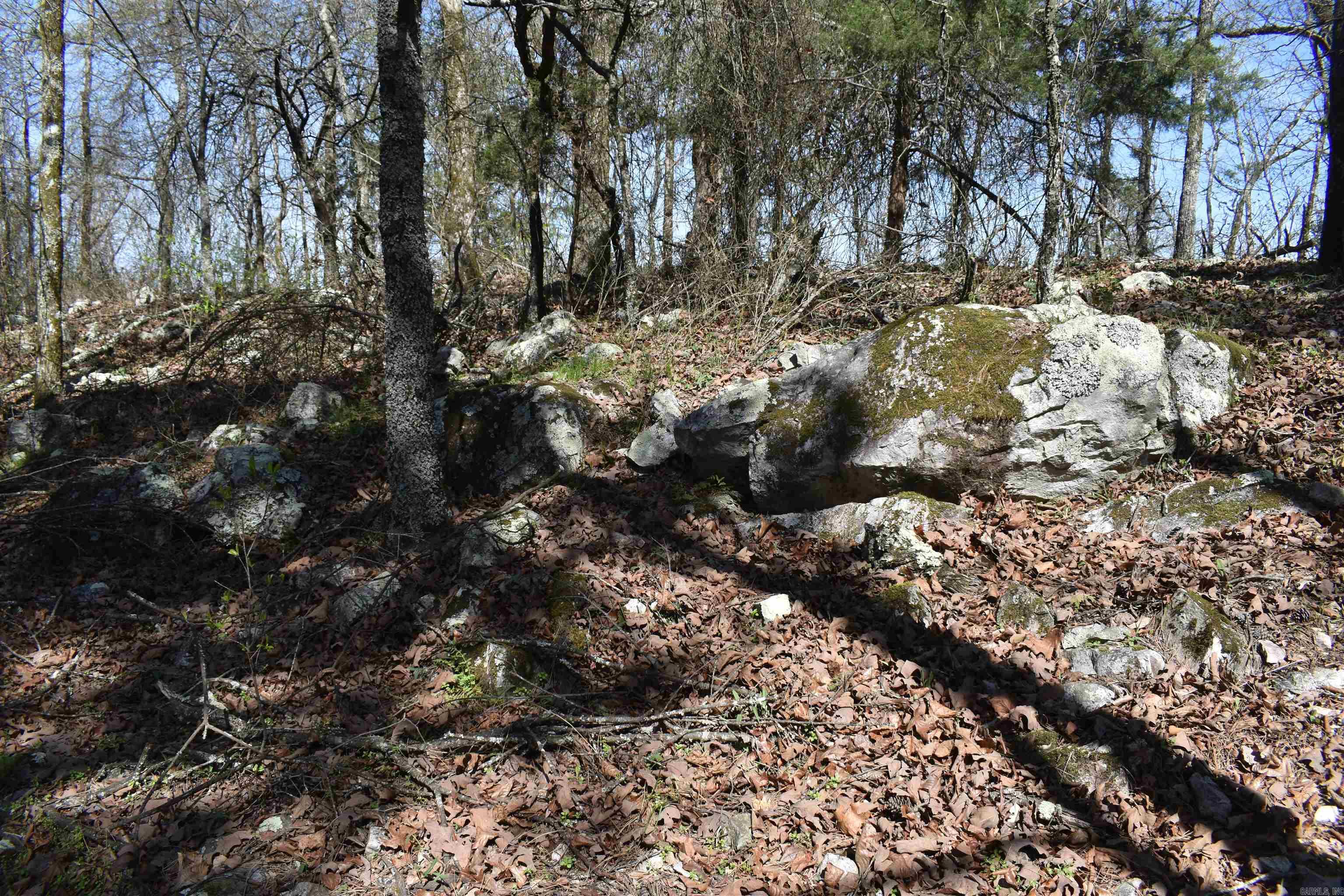 Metes & Bounds - Land