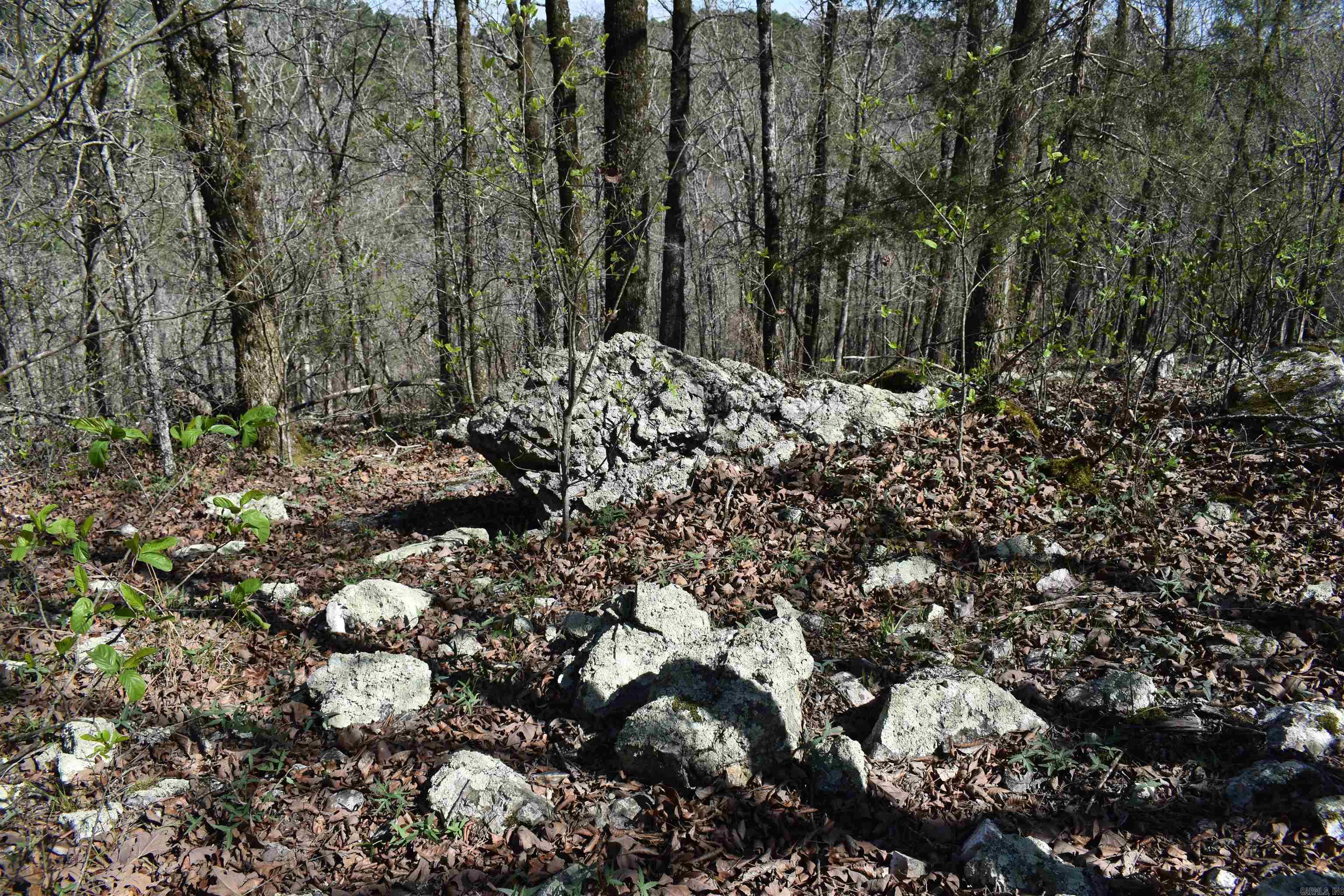 Metes & Bounds - Land