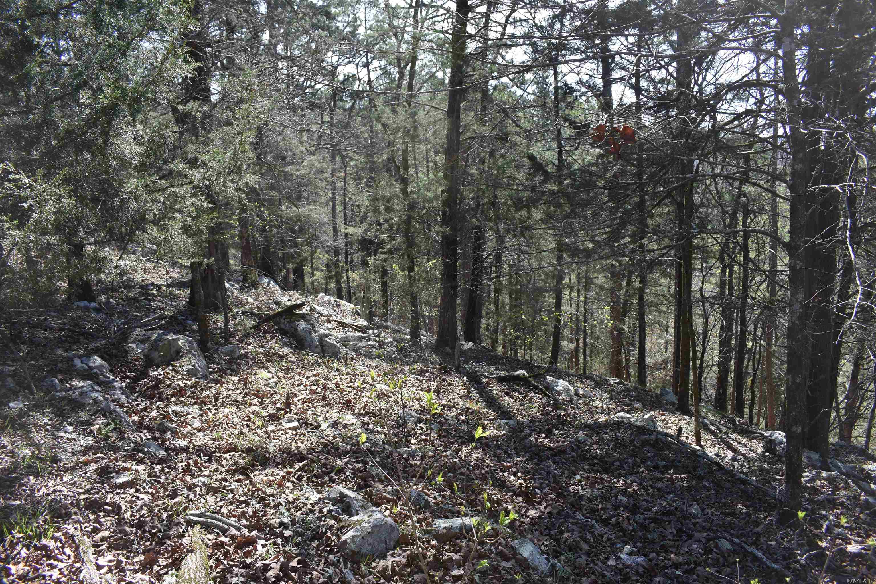 Metes & Bounds - Land