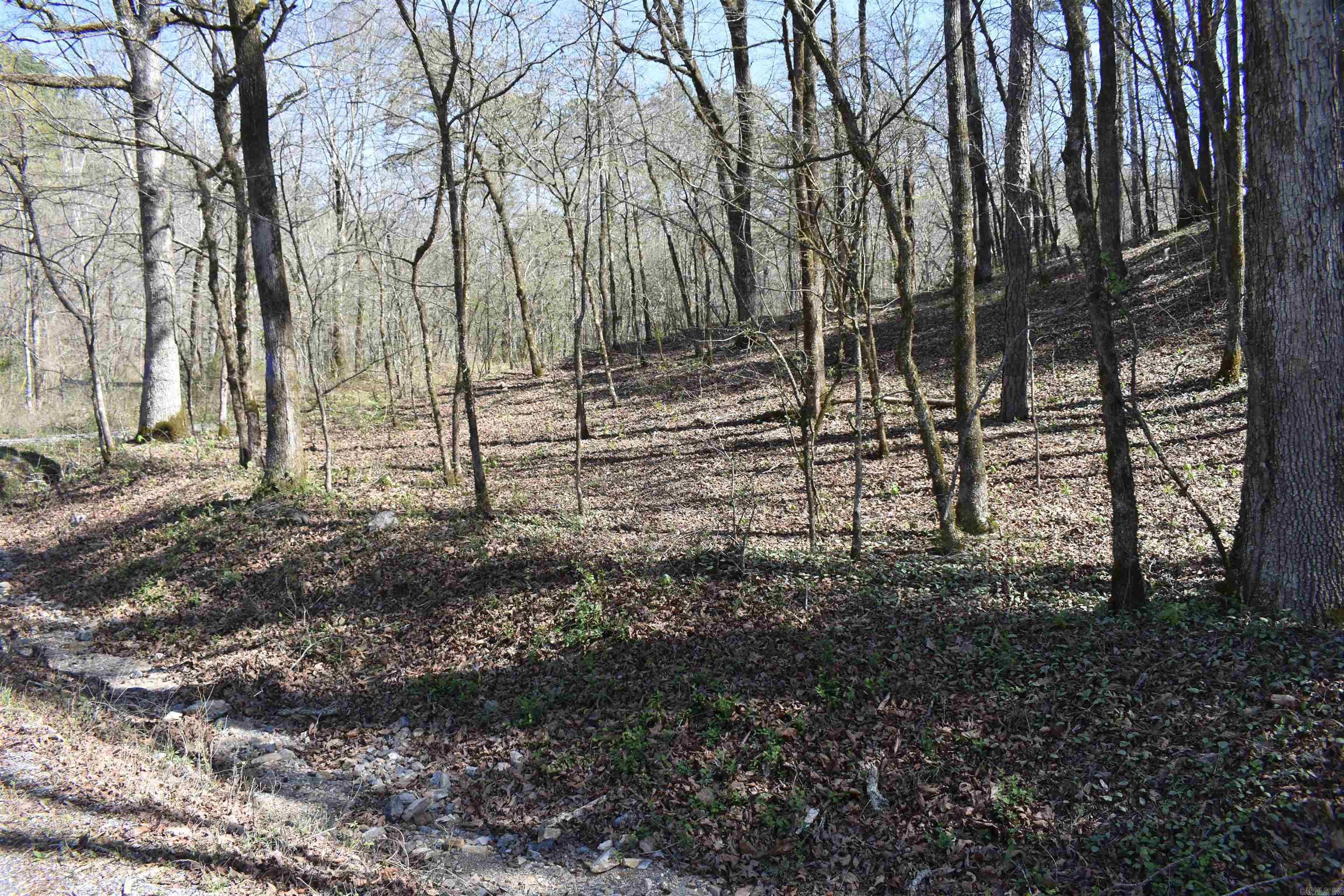 Metes & Bounds - Land