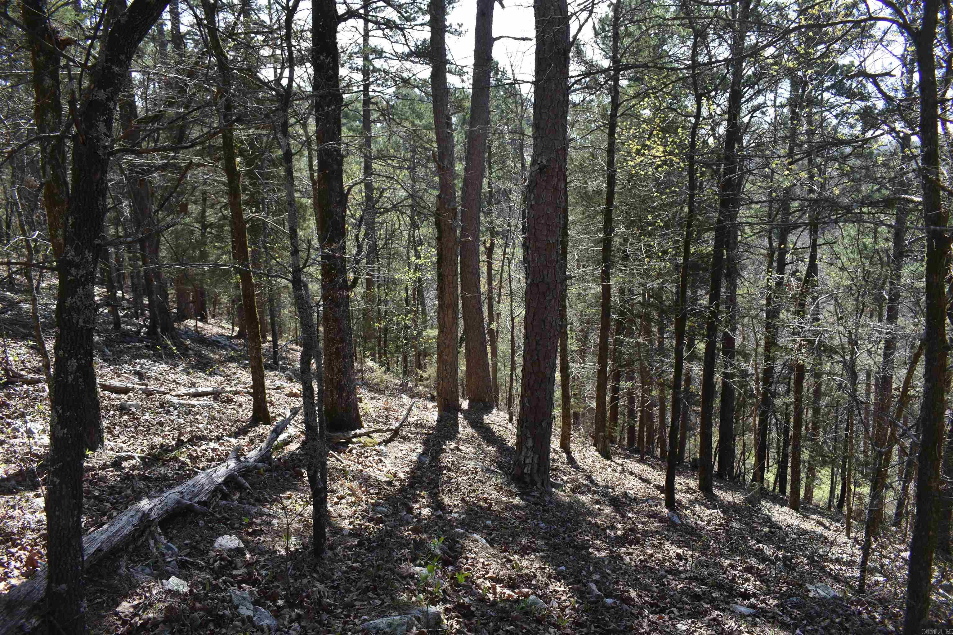 Metes & Bounds - Land