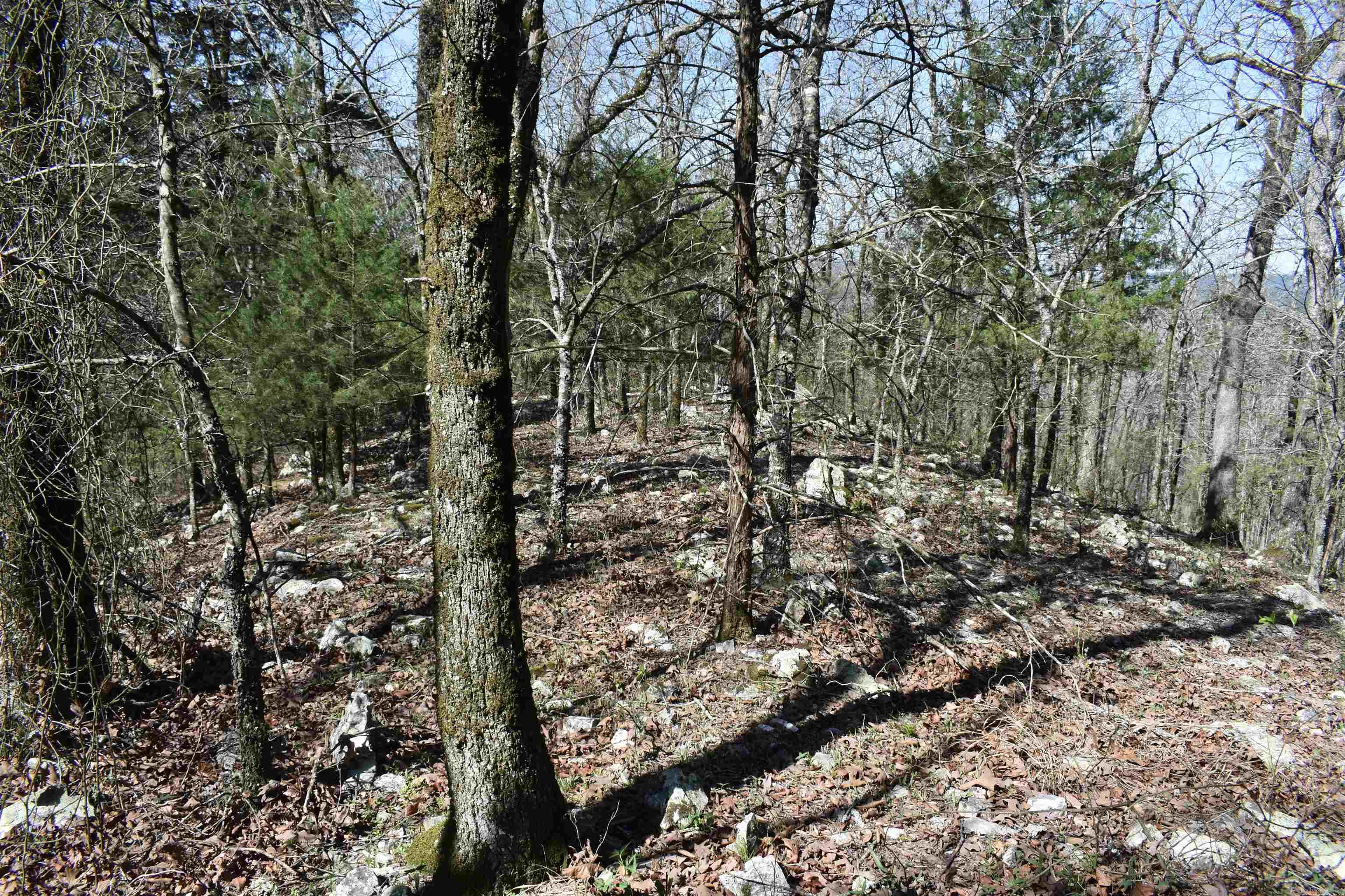 Metes & Bounds - Land