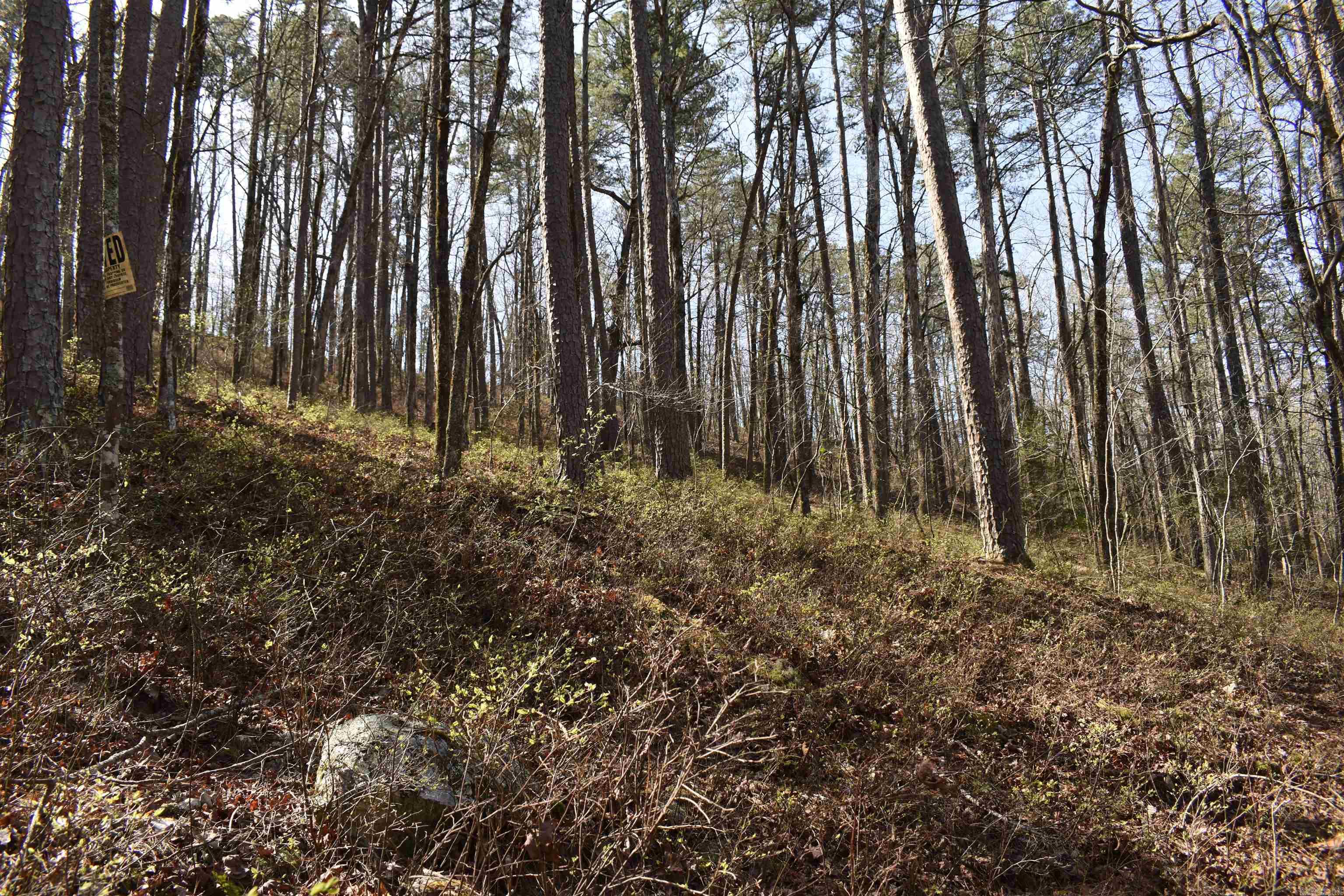 Metes & Bounds - Land