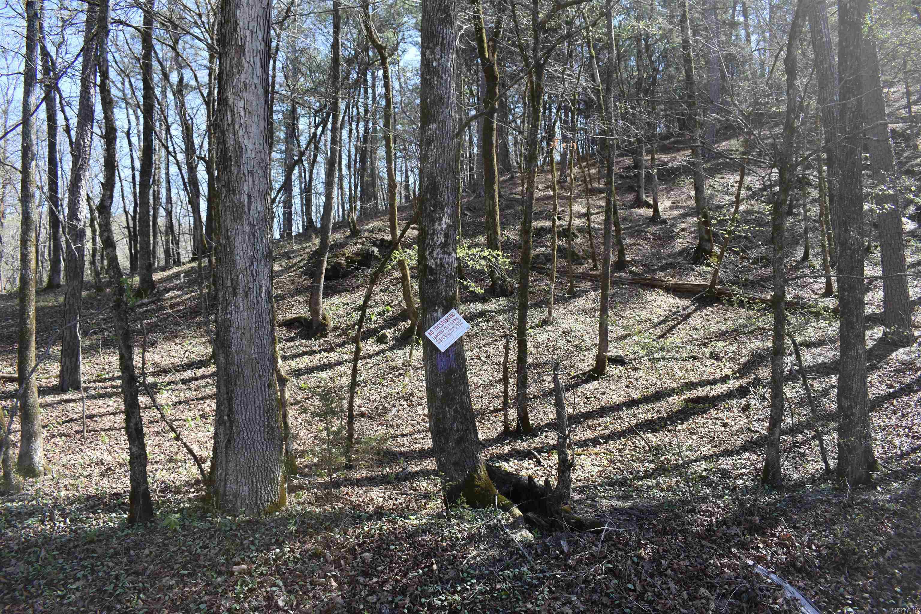 Metes & Bounds - Land