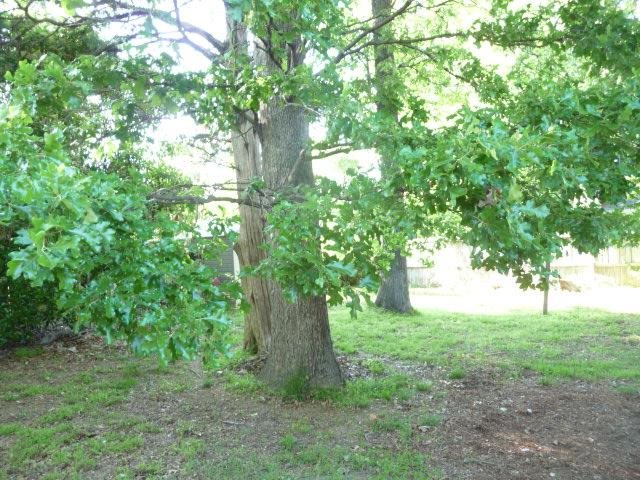 Rainwood - Residential