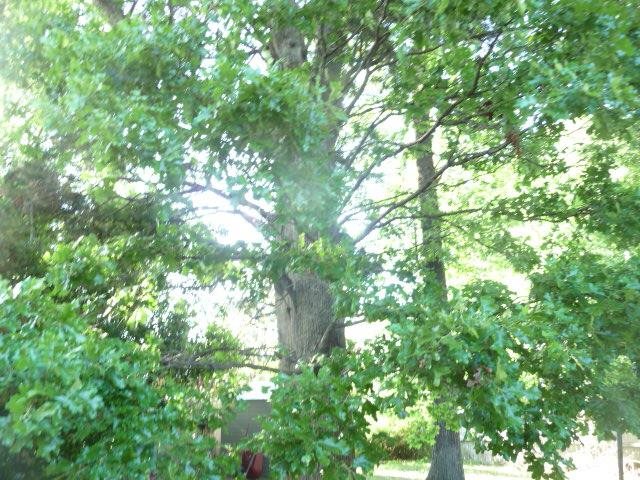 Rainwood - Residential