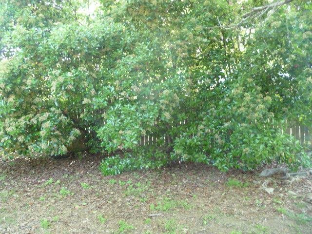 Rainwood - Residential