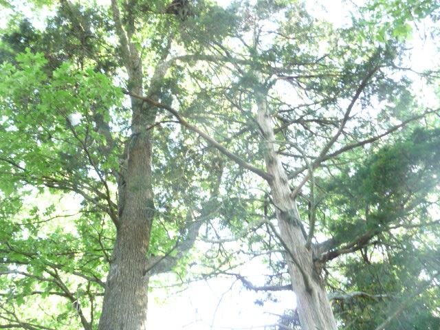 Rainwood - Residential