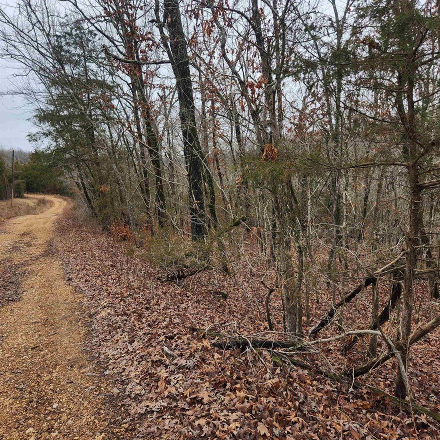 Gently sloping, wooded, with a wet weather creek lining the back end. It's located in a secluded area of Cherokee Village but just a short drive away from the highway, parks, trails, lakes, and the Southfork and Spring Rivers. This lot is not taxed by the SID of Cherokee Village.