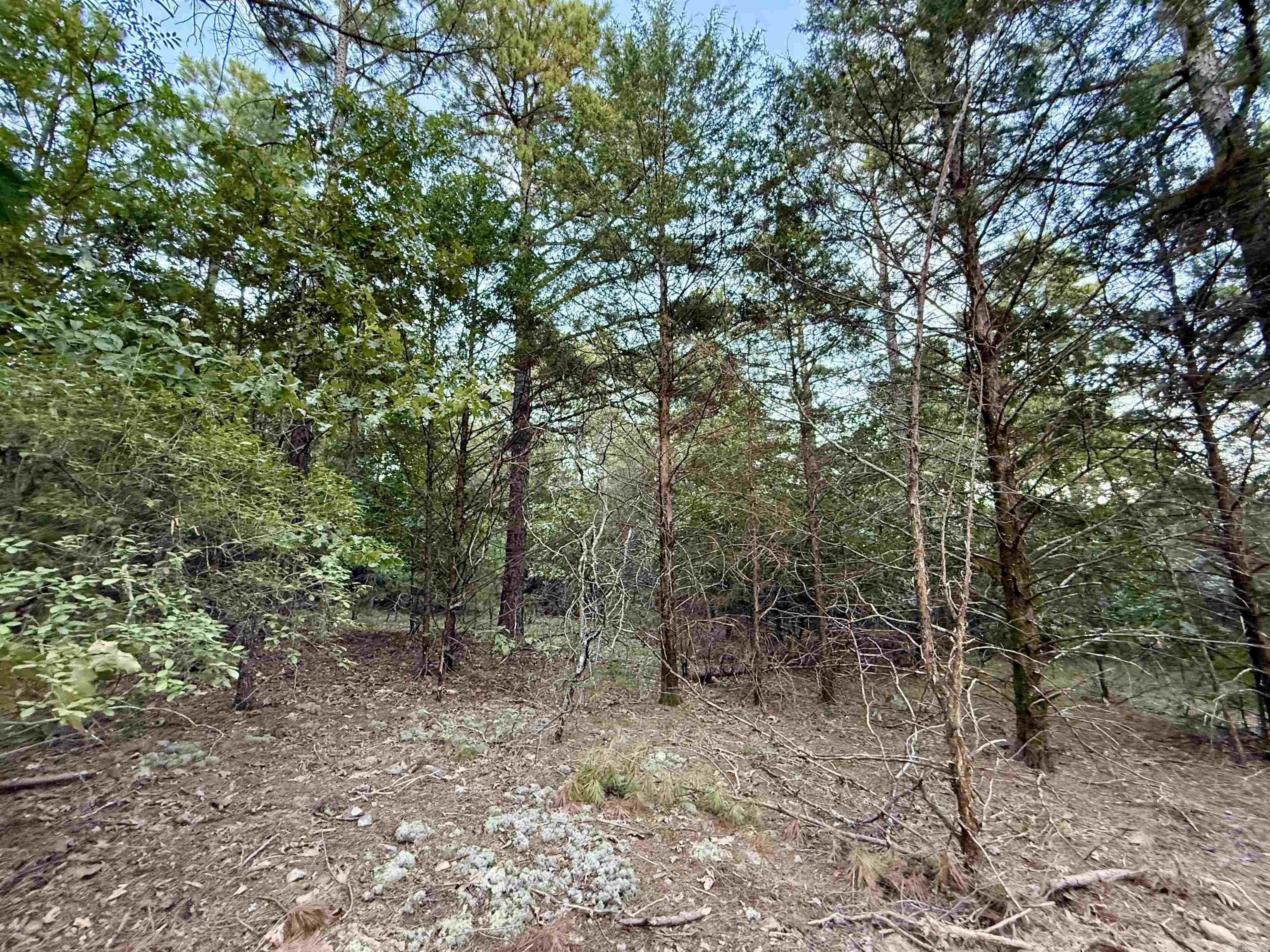 Not in Subdivision - Land