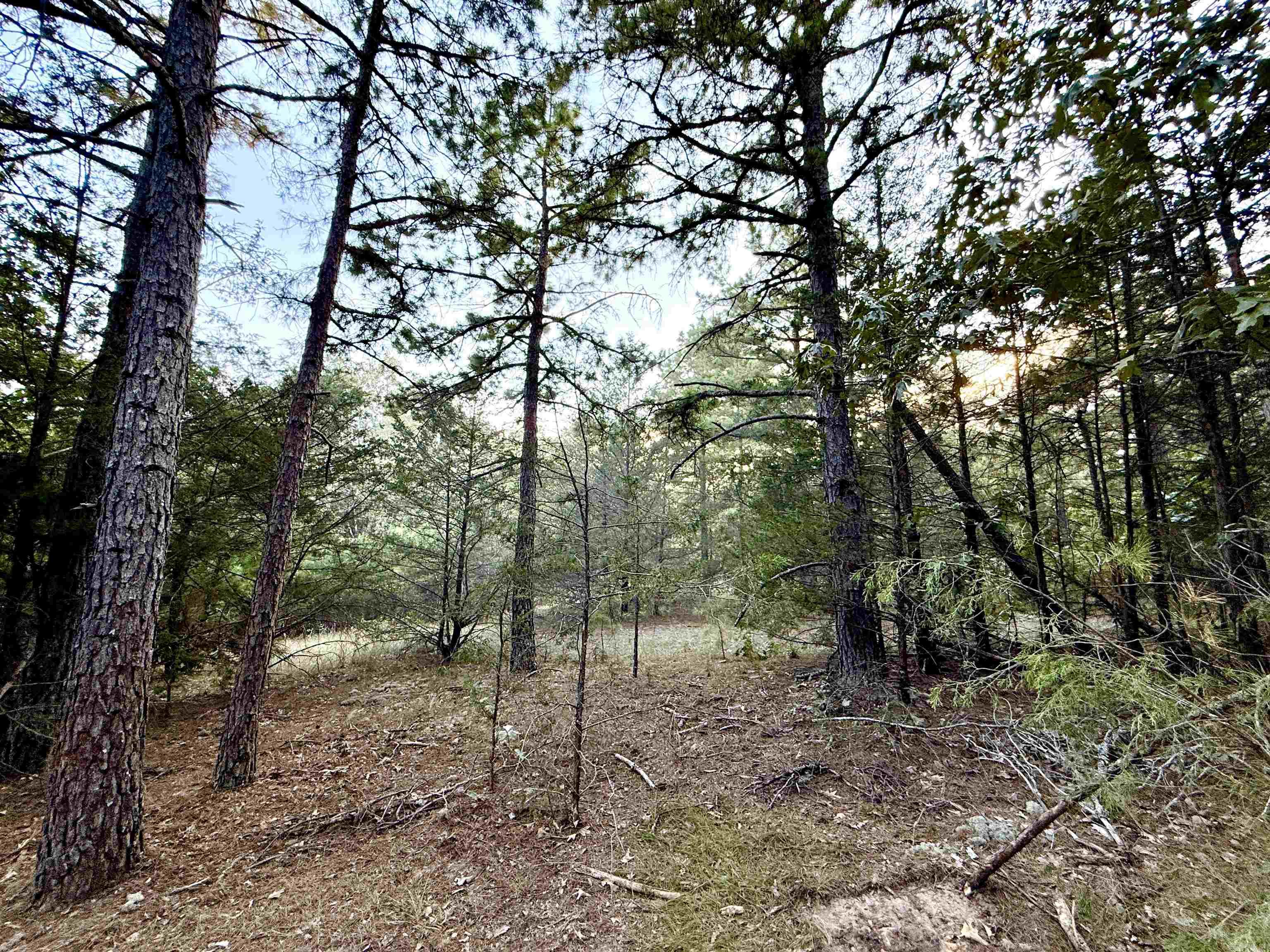 Not in Subdivision - Land