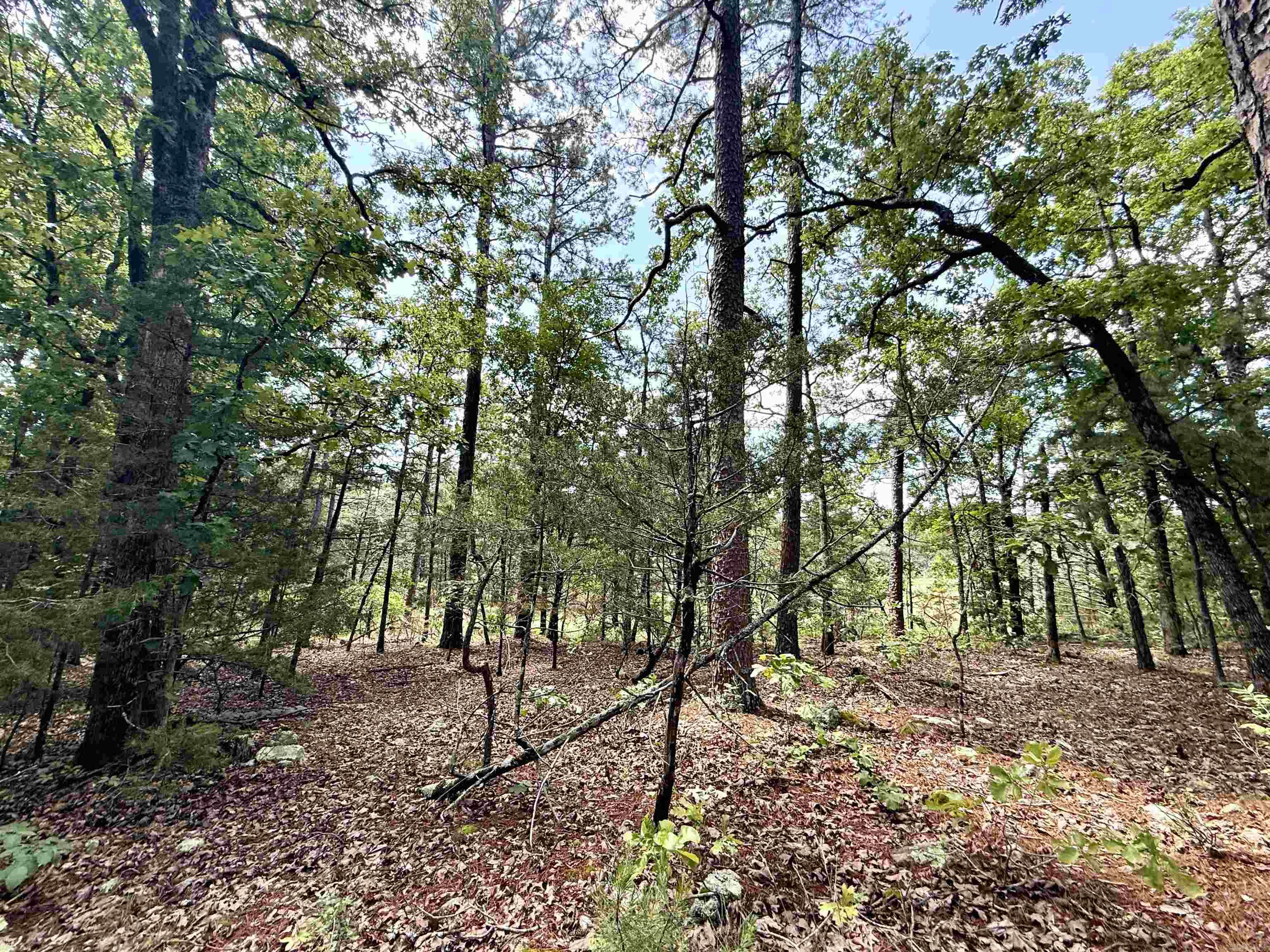 Not in Subdivision - Land